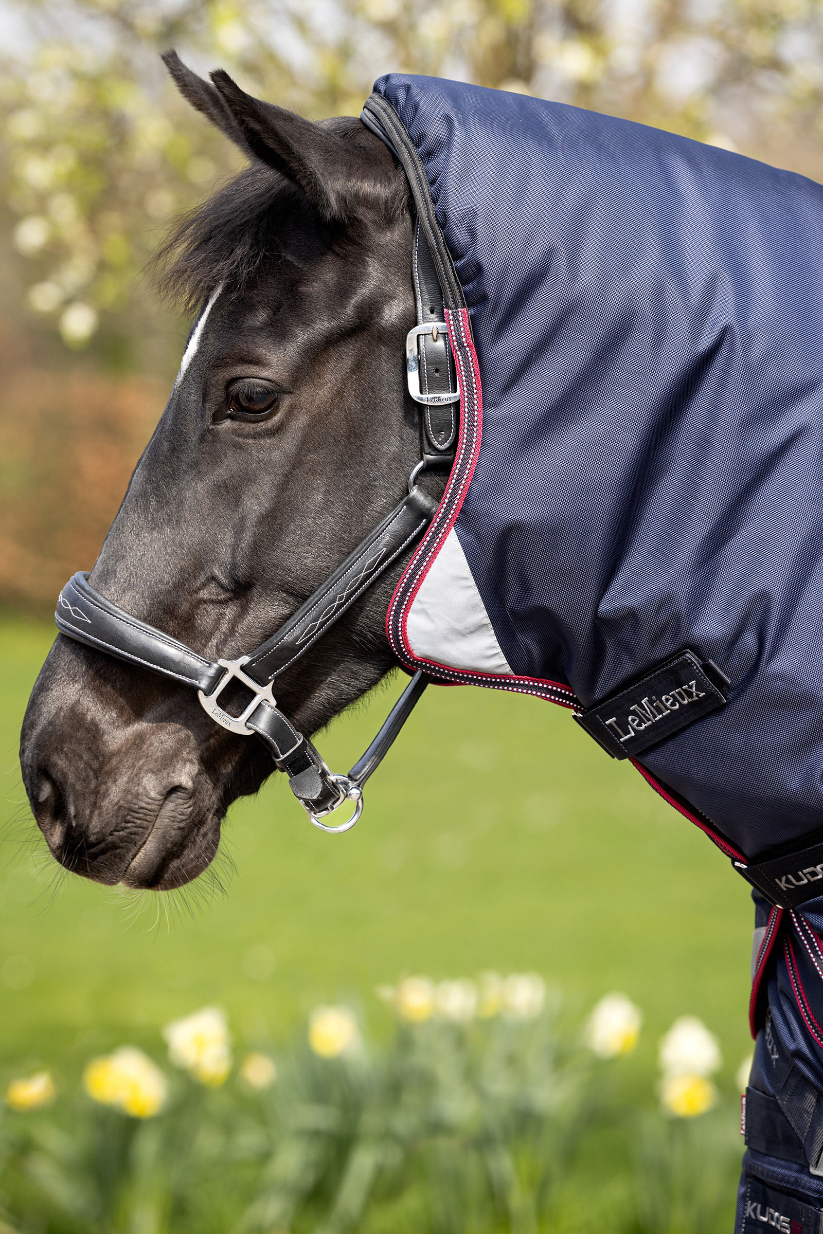 LeMieux Kudos Thermo Layer coperta impermeabile da paddock 100g