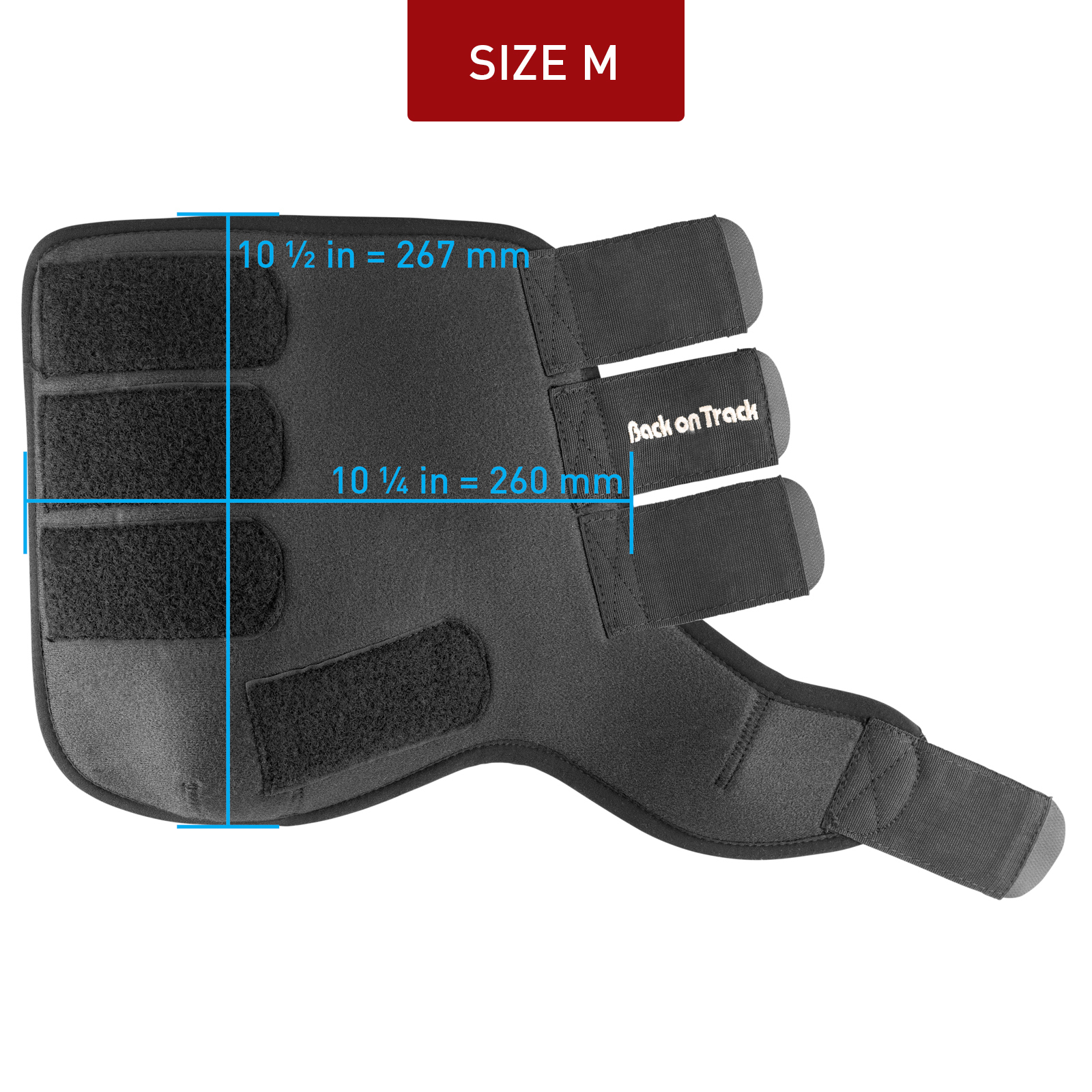 Stinchiere anteriori Back On Track