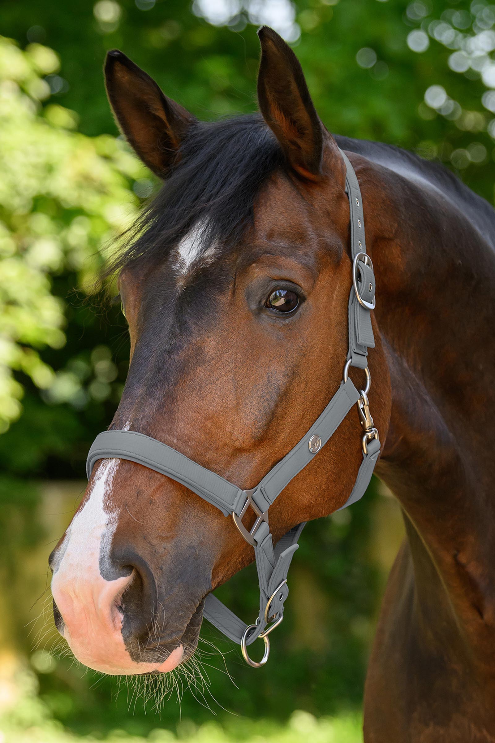 Waldhausen Trinidad capezza