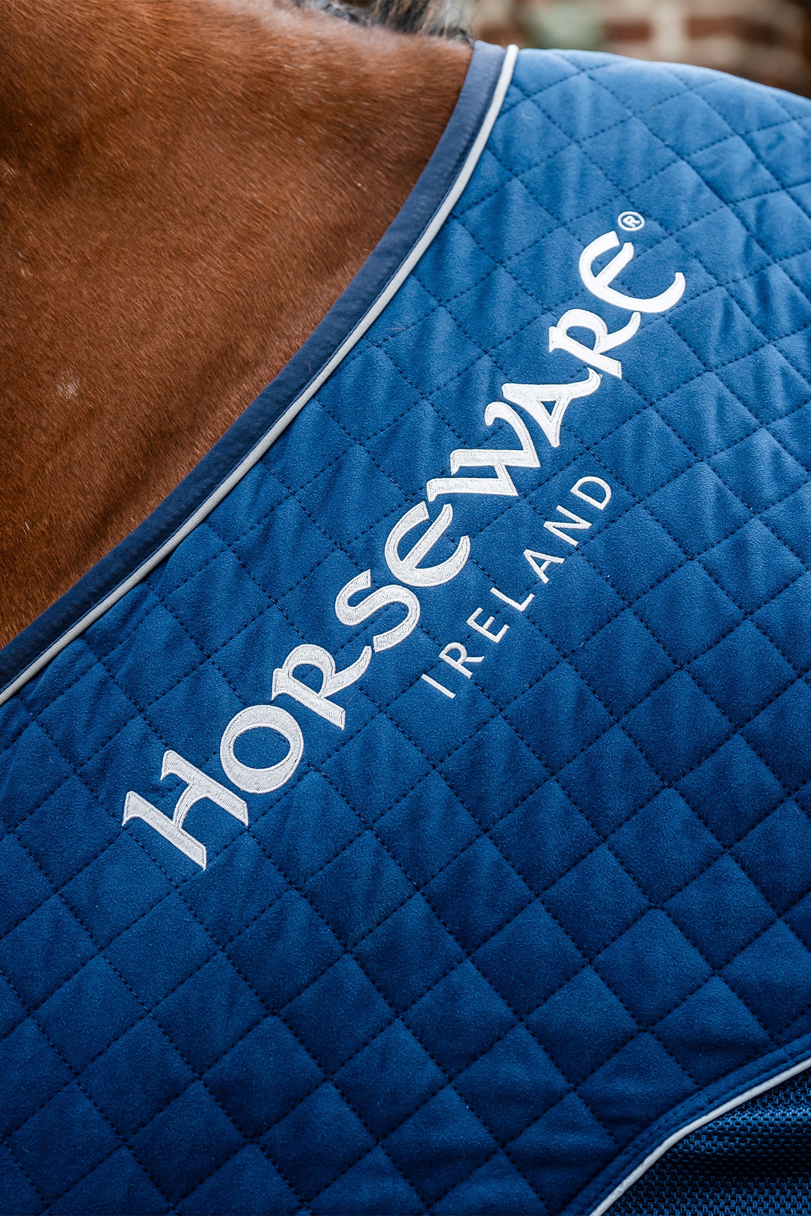 Horseware Signature Coperta da trasporto, 50g