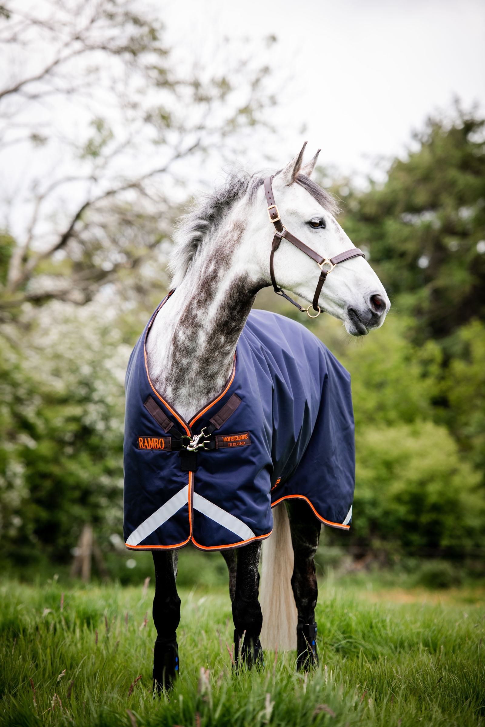 Horseware Rambo Original Turnout with Leg Arches, 100g