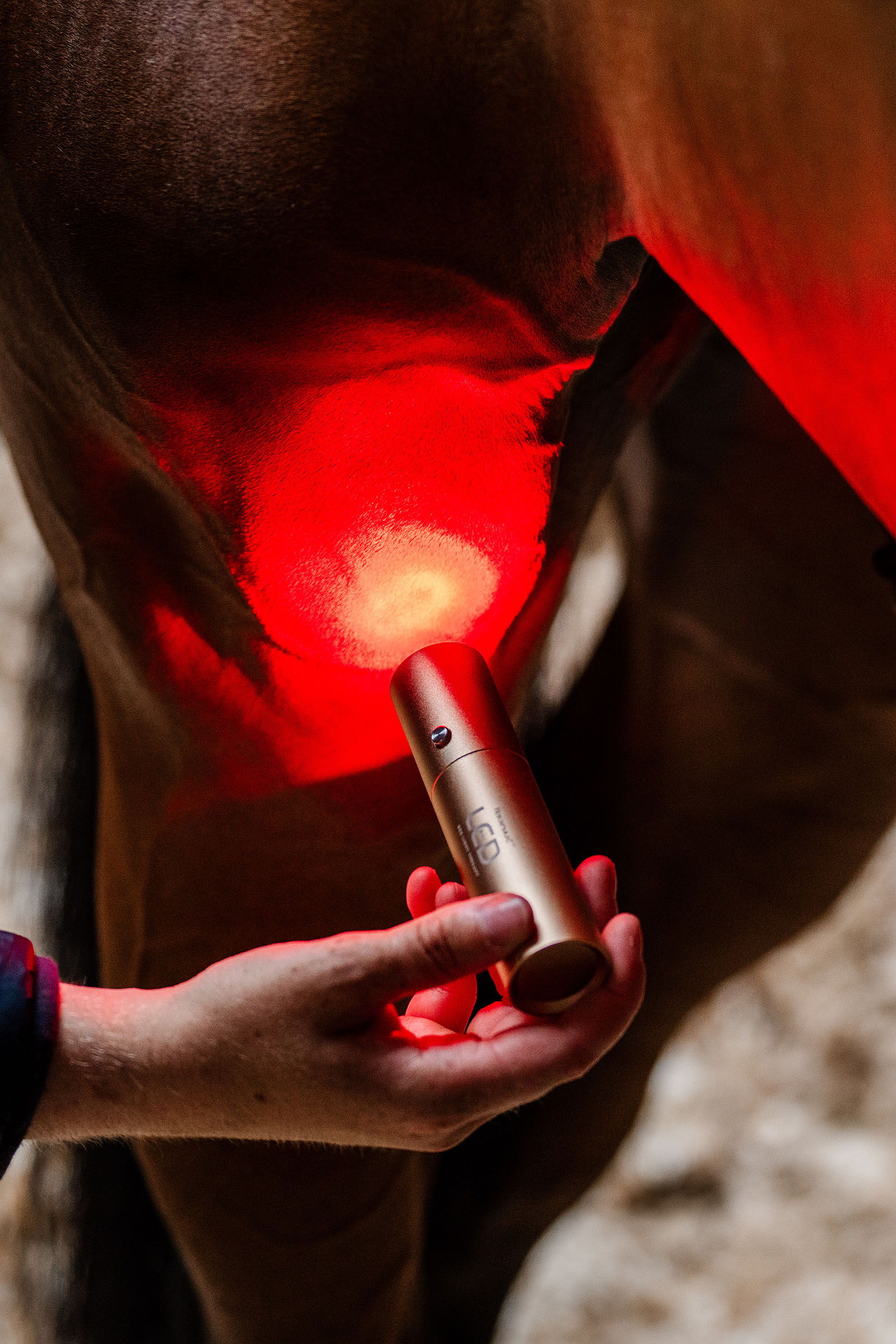Horseware Bacchetta terapeutica a LED con luce rossa