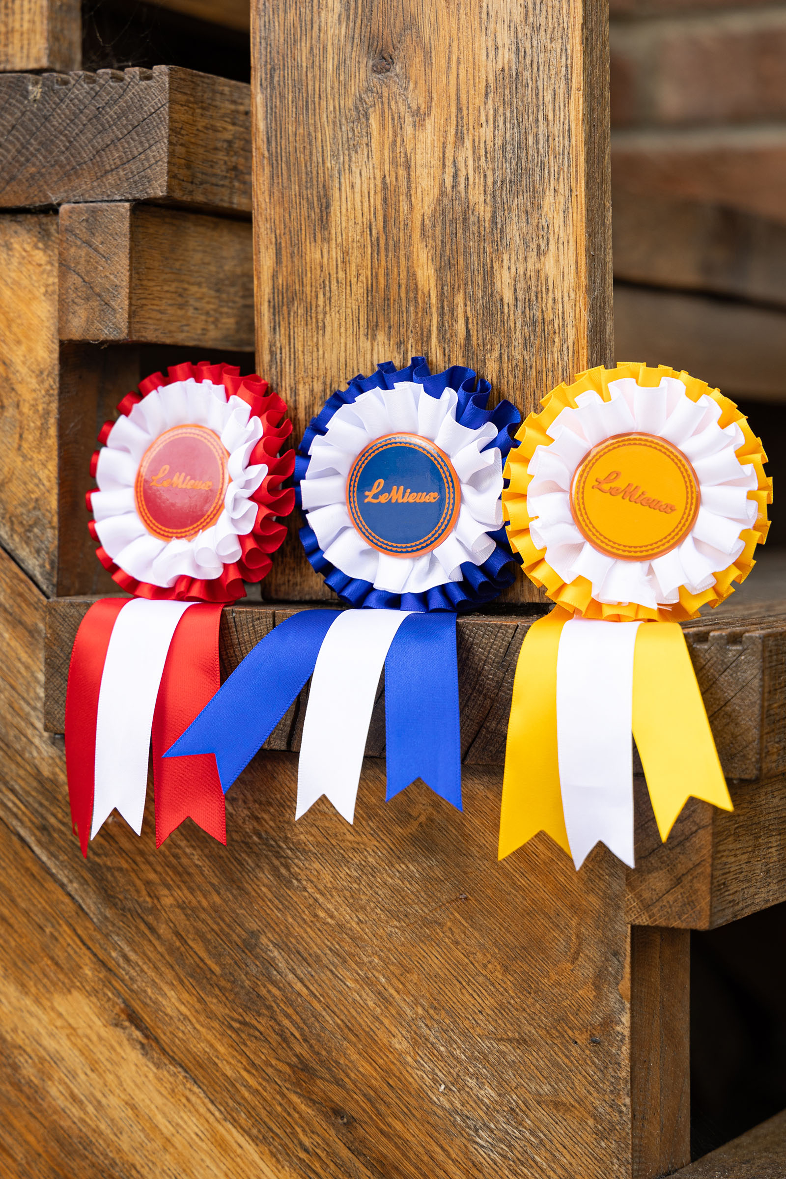 LeMieux Hobby Horse set di coccarde