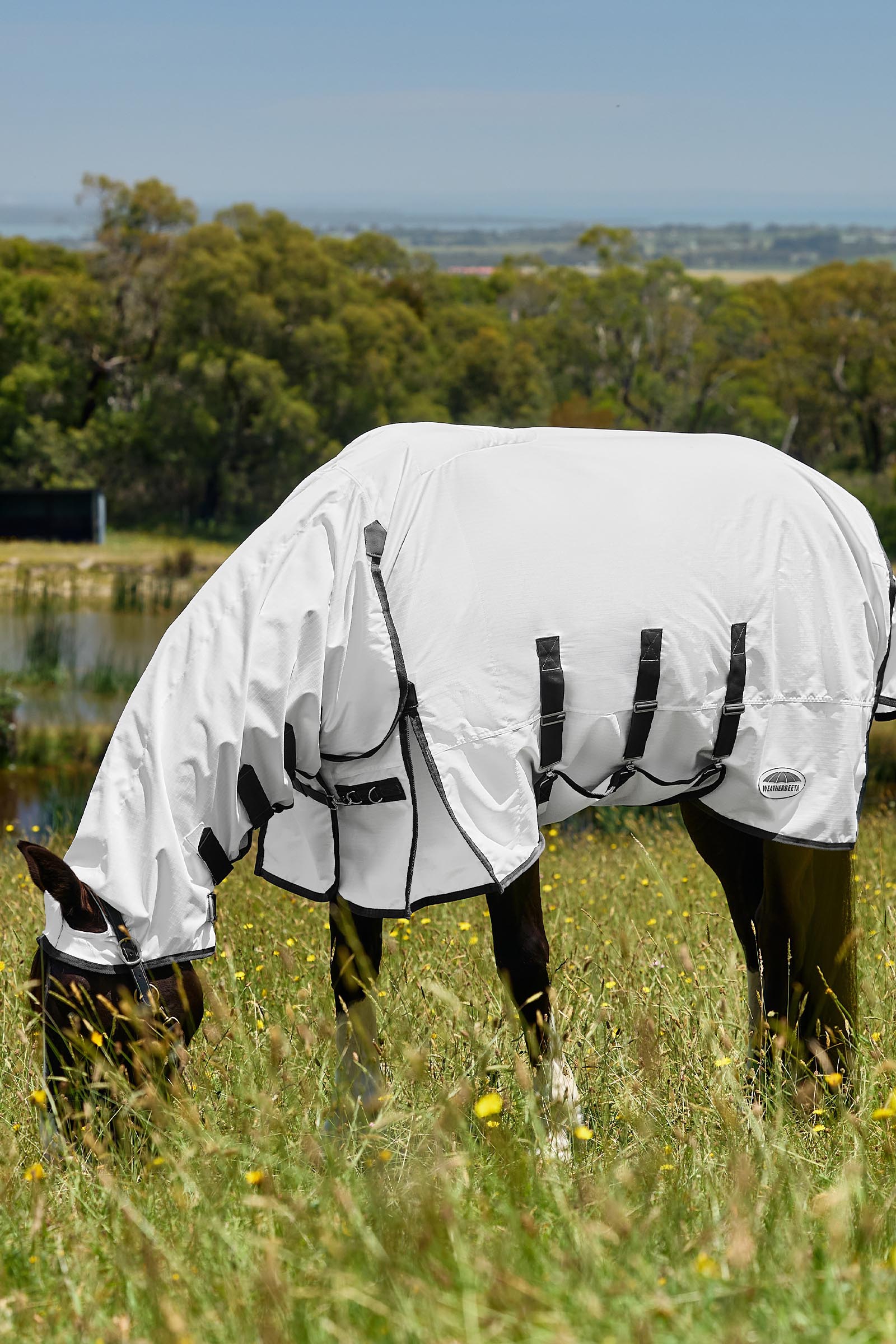 Weatherbeeta ComFiTec Sweet Itch Shield Coperta antimosche combo con collo fisso, 0 g  