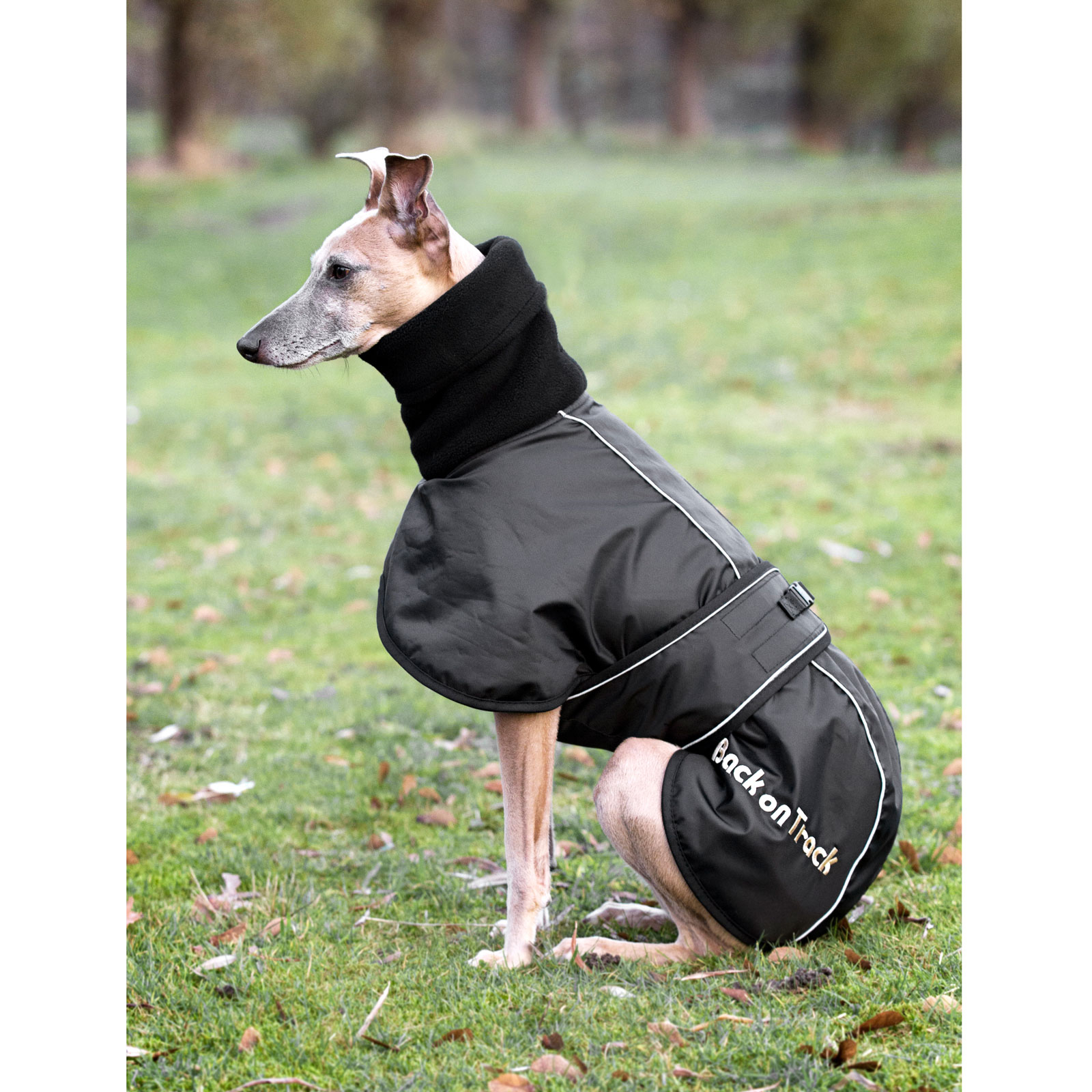 Back on Track Whippet, Coperta per cani L-XXL