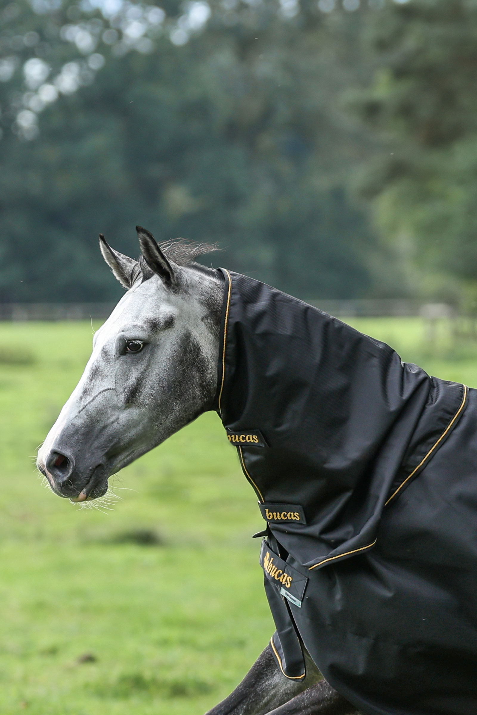 Bucas Irish Turnout colletto, 0g