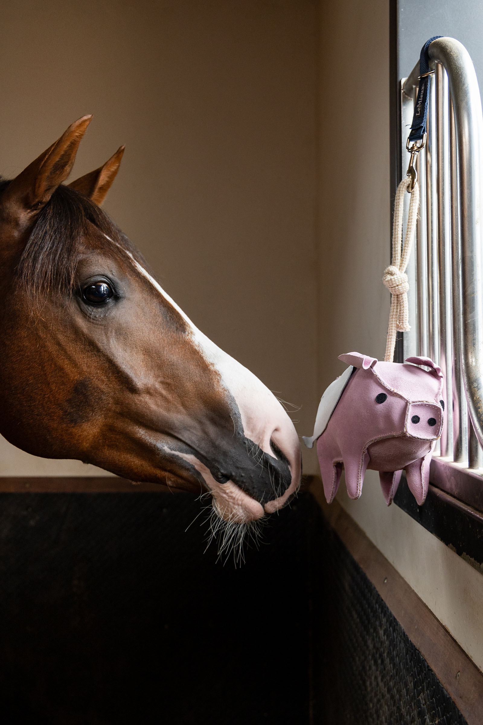LeMieux gioco per cavalli maialino volante