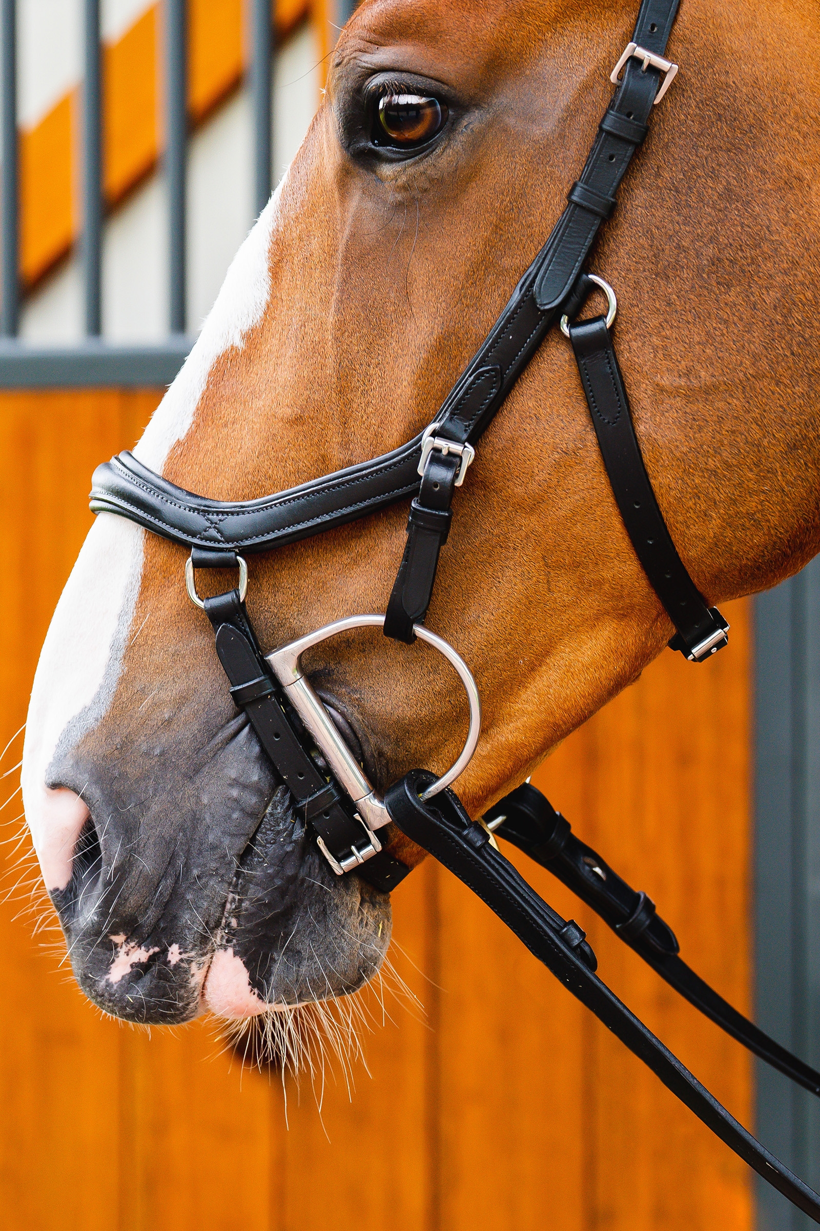 Horseware Micklem 2 Deluxe Competition Briglia