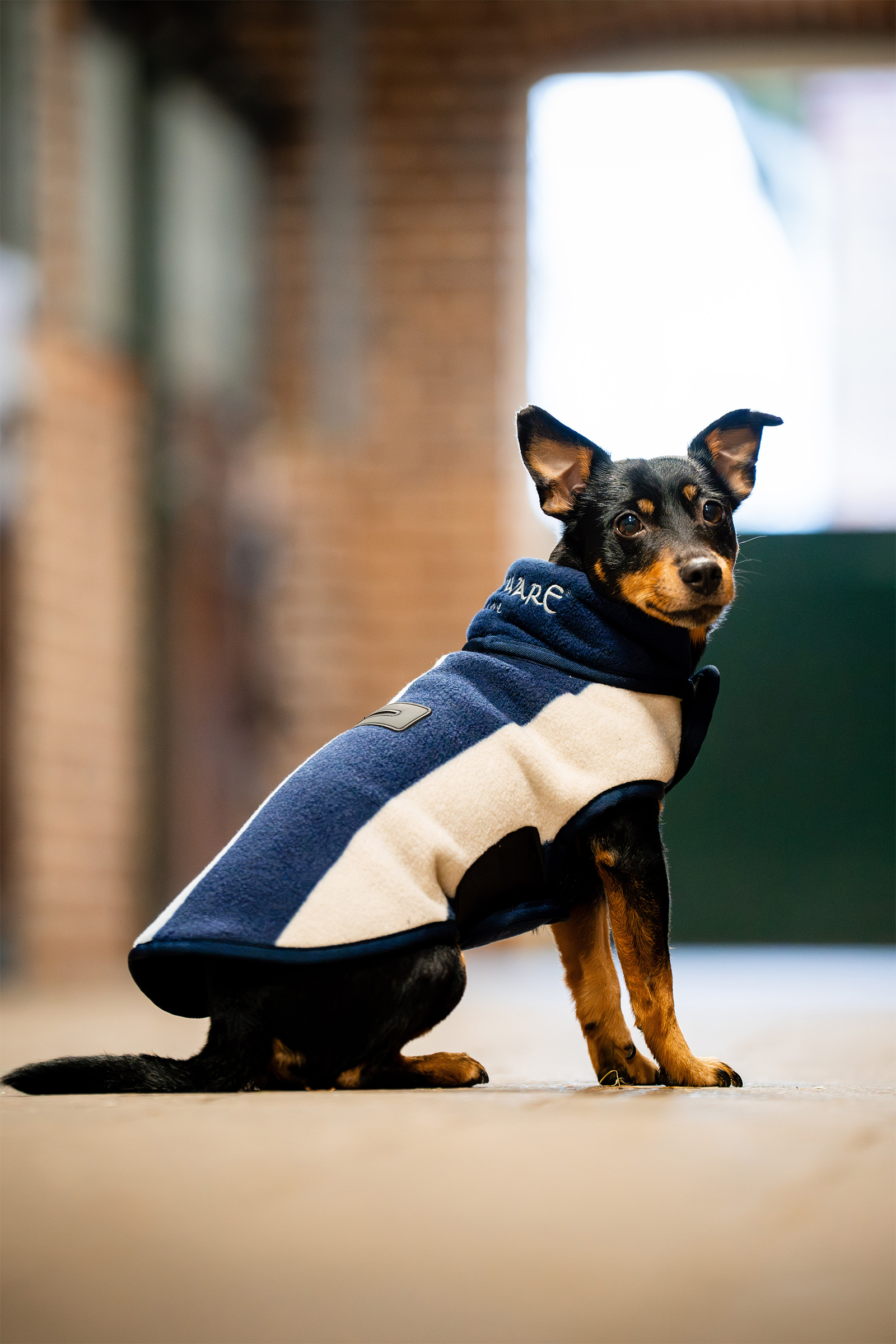 Whitney Navy Coperta in pile per cani Horseware Signature