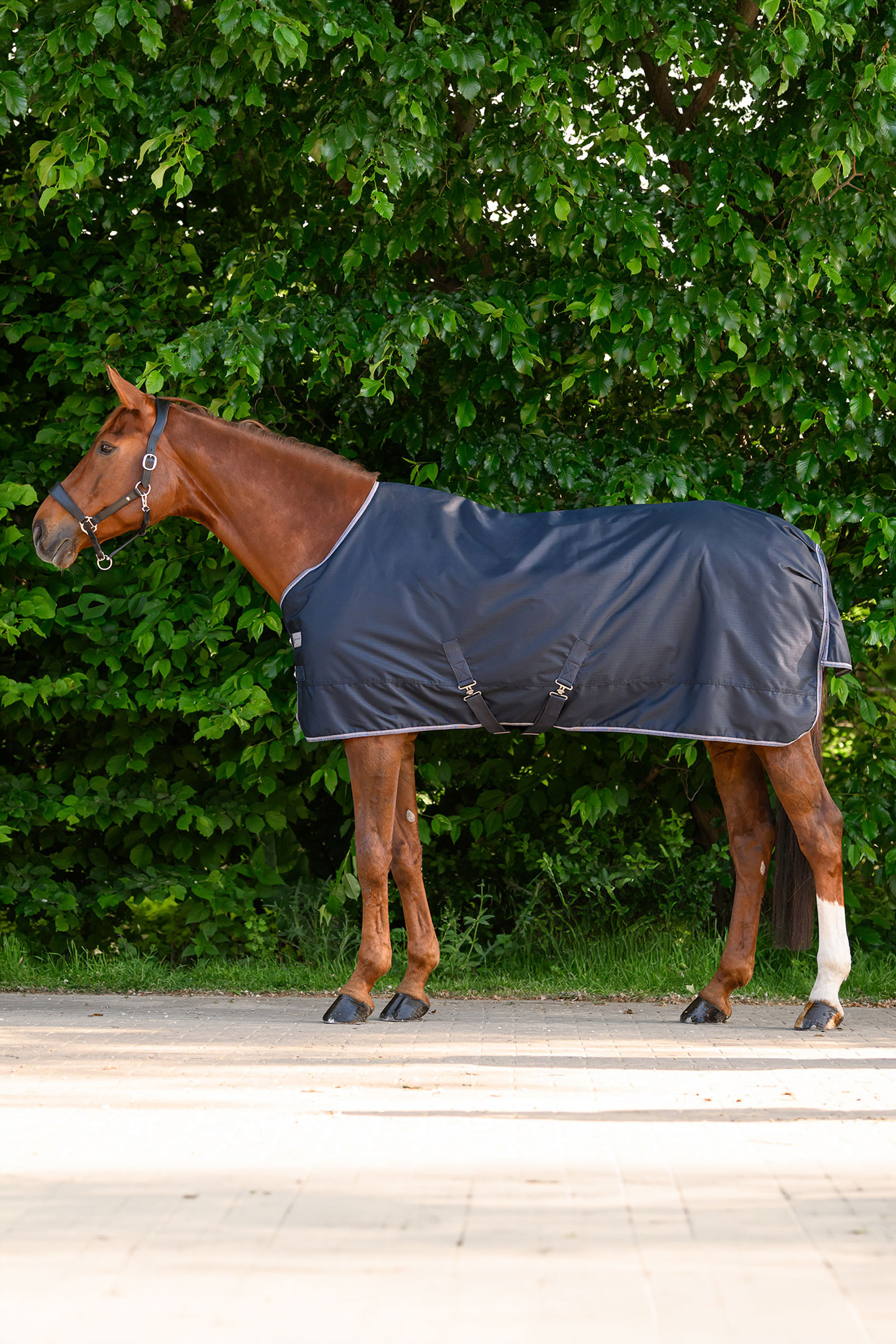 Waldhausen ECONOMIC coperta outdoor leggera