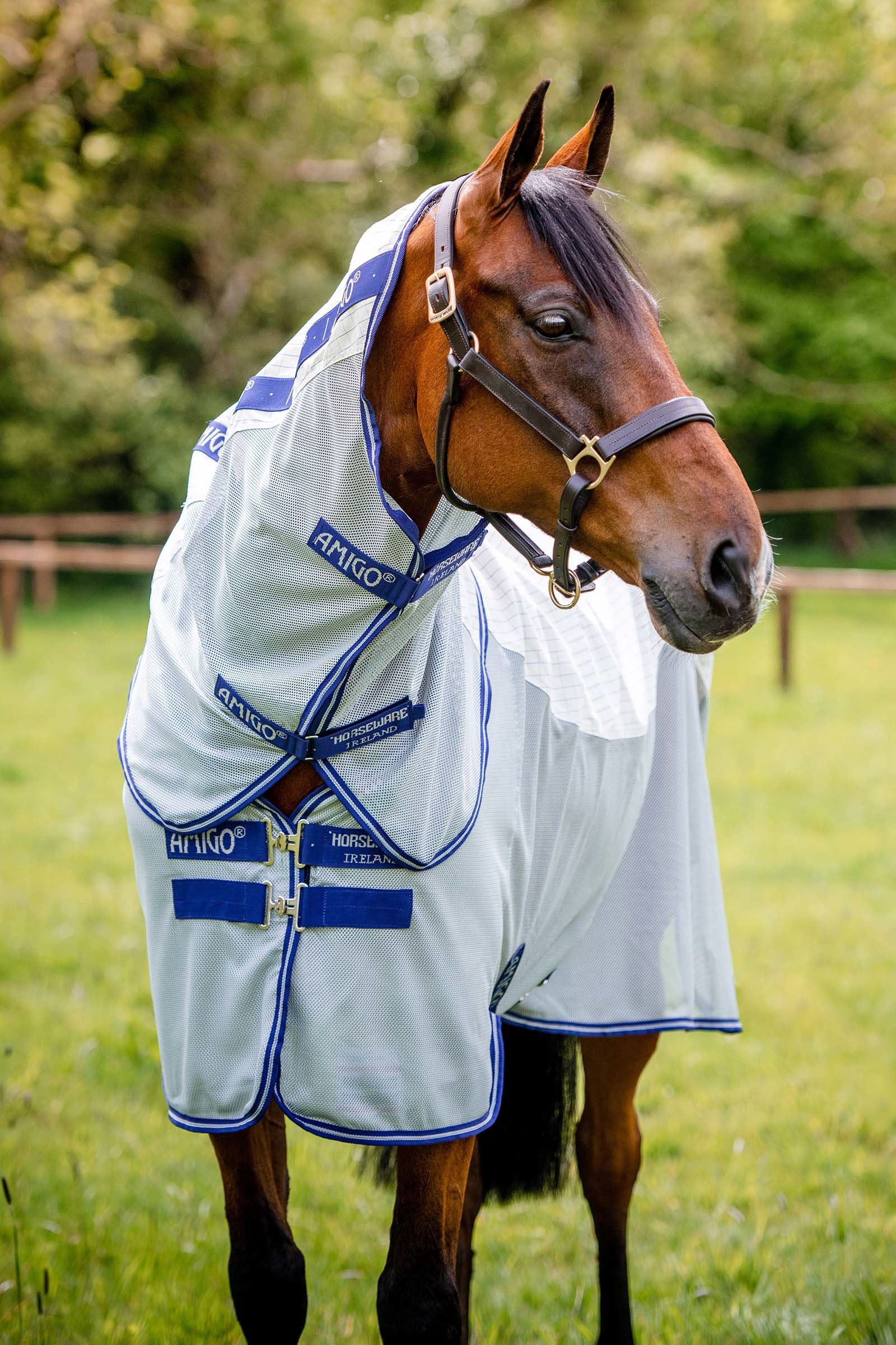 Horseware Amigo Airflow coperta anti-mosche con parte collo staccabile