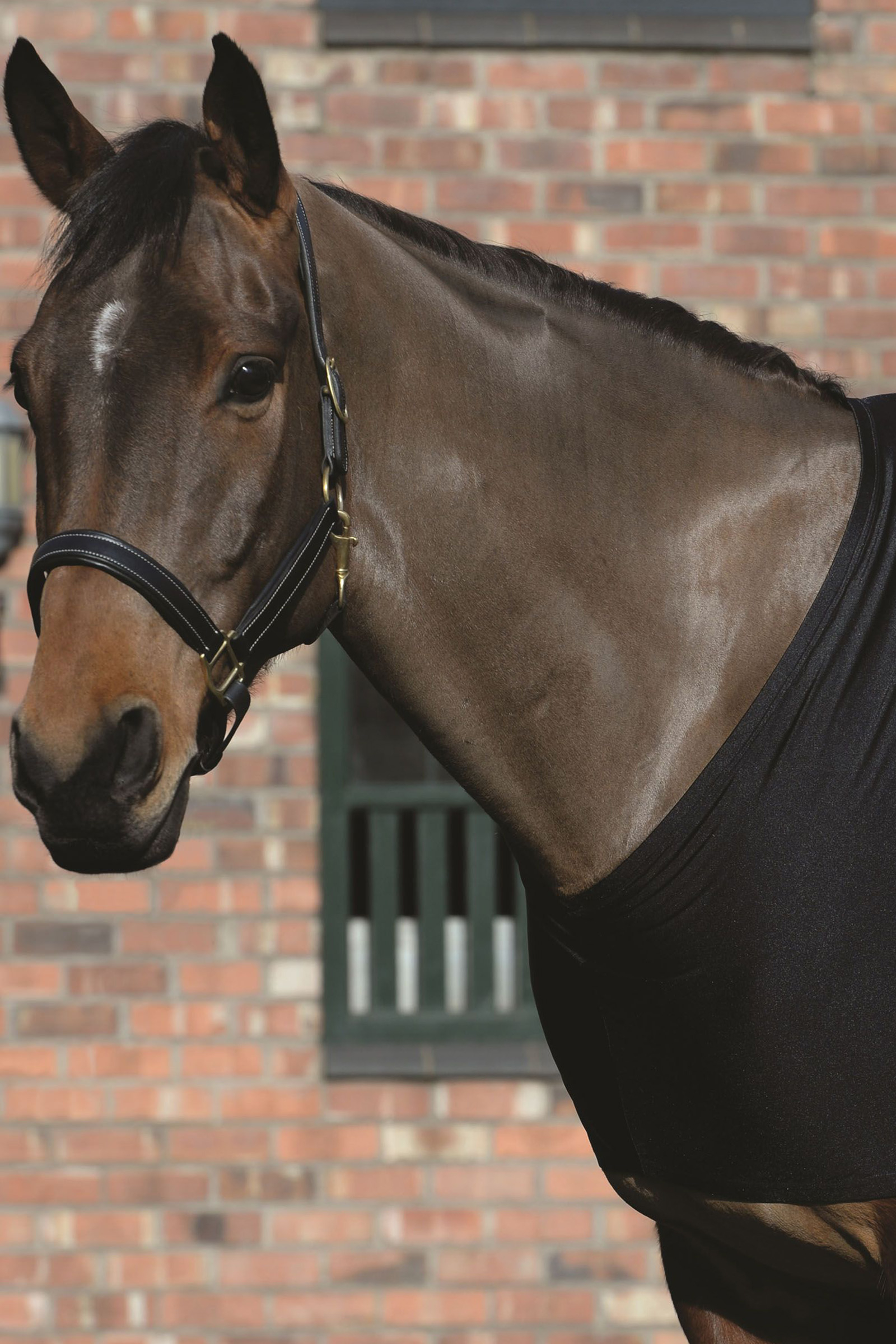 Protezione per le spalle elasticizzata Weatherbeeta