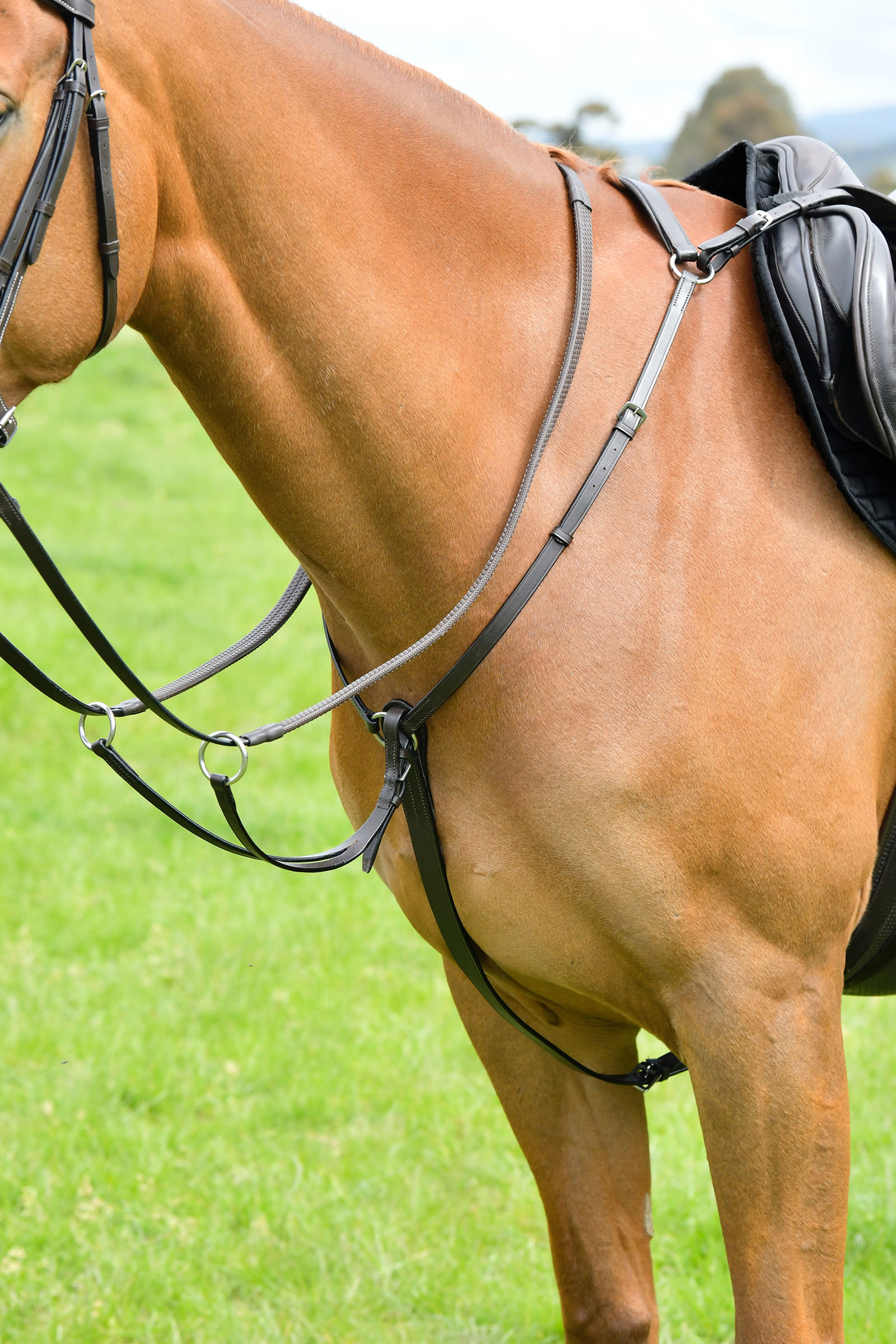 Brown Kincade Classic pettorale a 3 punti con martingala scorrevole