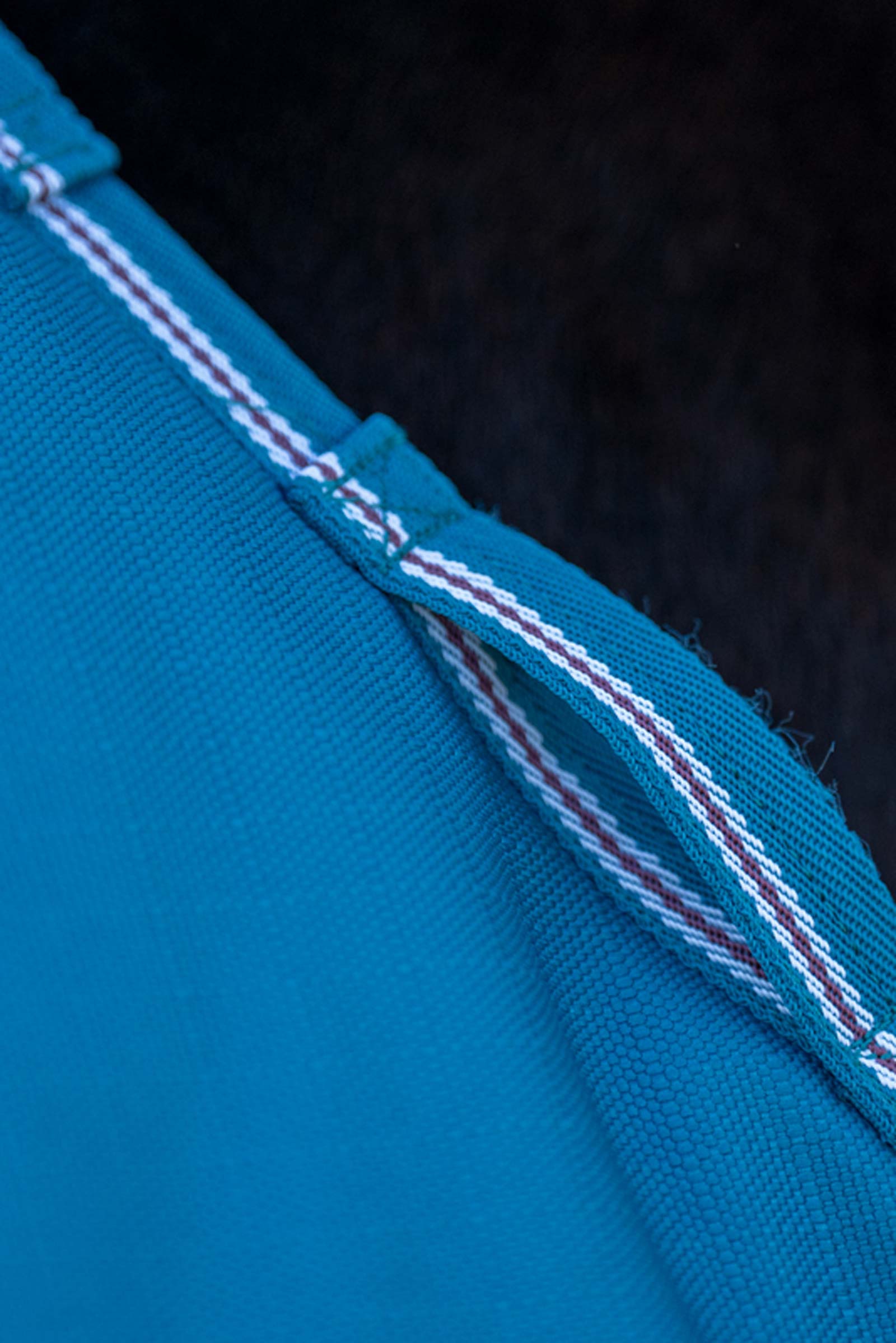 Tappeto Kavalkade Turnout Alaska IV Fleece