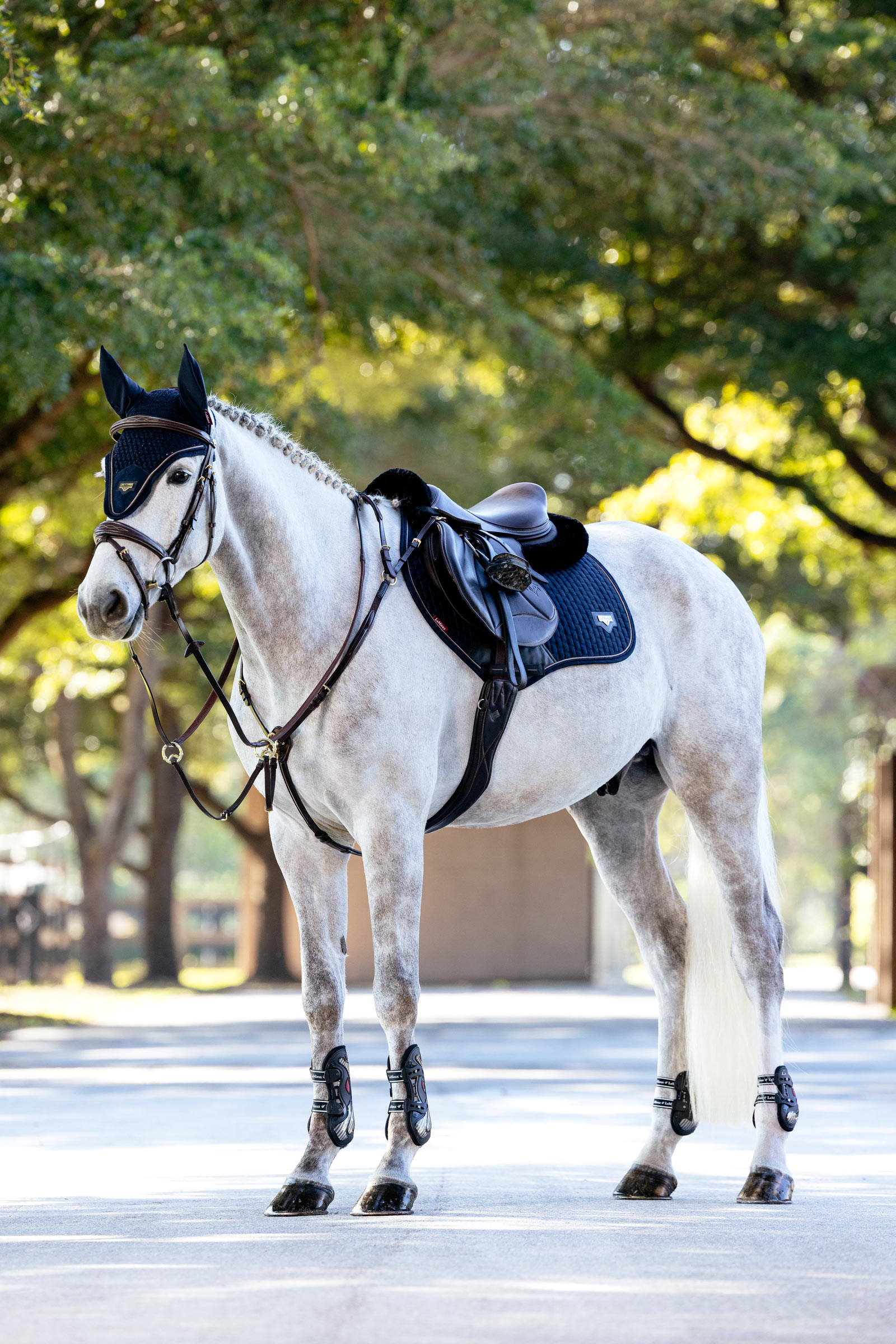 LeMieux Puissance Close Contact sottosella da salto in similpelle scamosciata