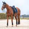 Back on Track Sottosella da dressage Night Collection