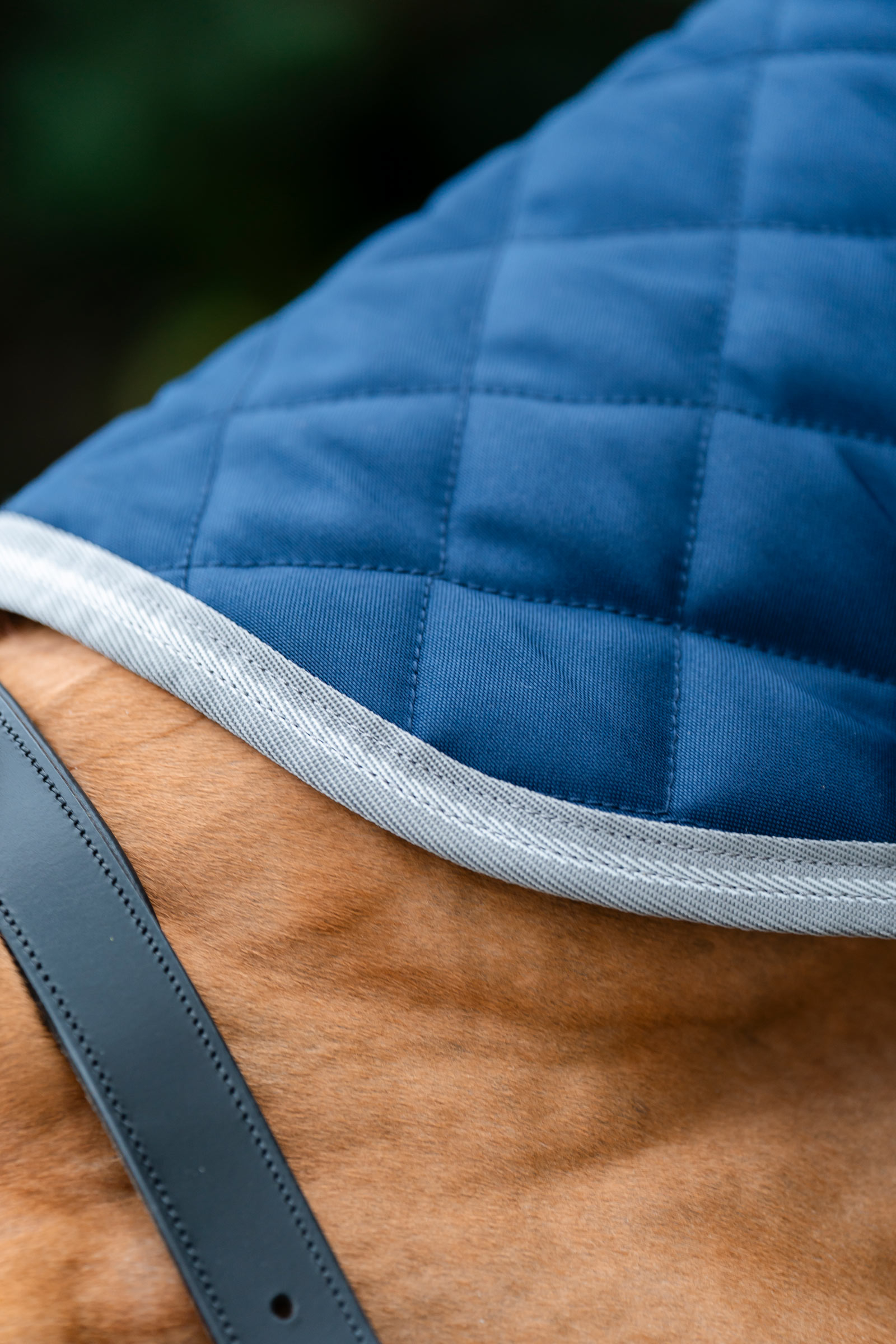 Horseware Amigo coperta da box trapuntata Plus, 200 g