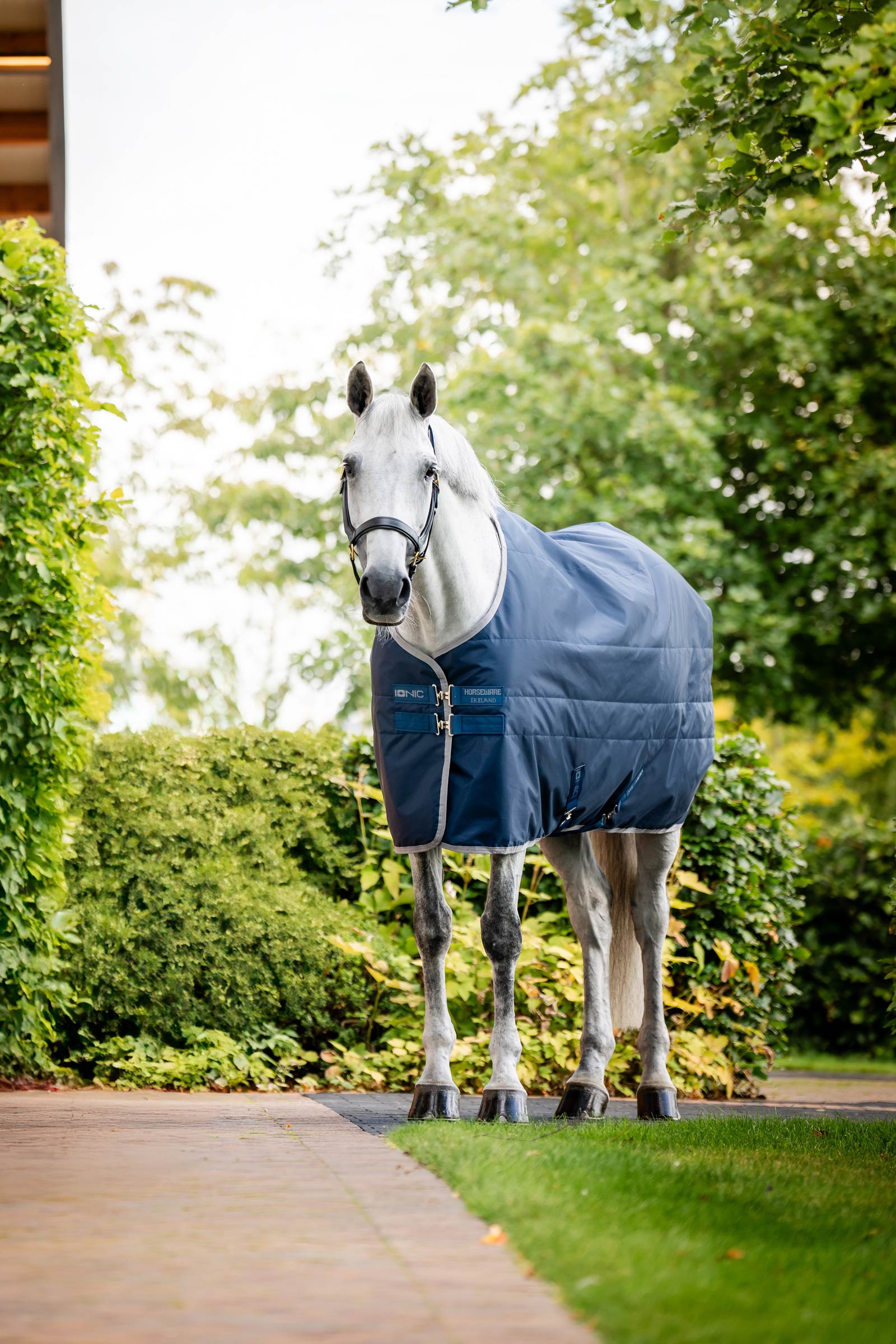 Horseware Ionic Therapy Coperta da stalla, 50g