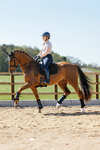 LeMieux 3D Mesh Self-Cool Sottosella dressage