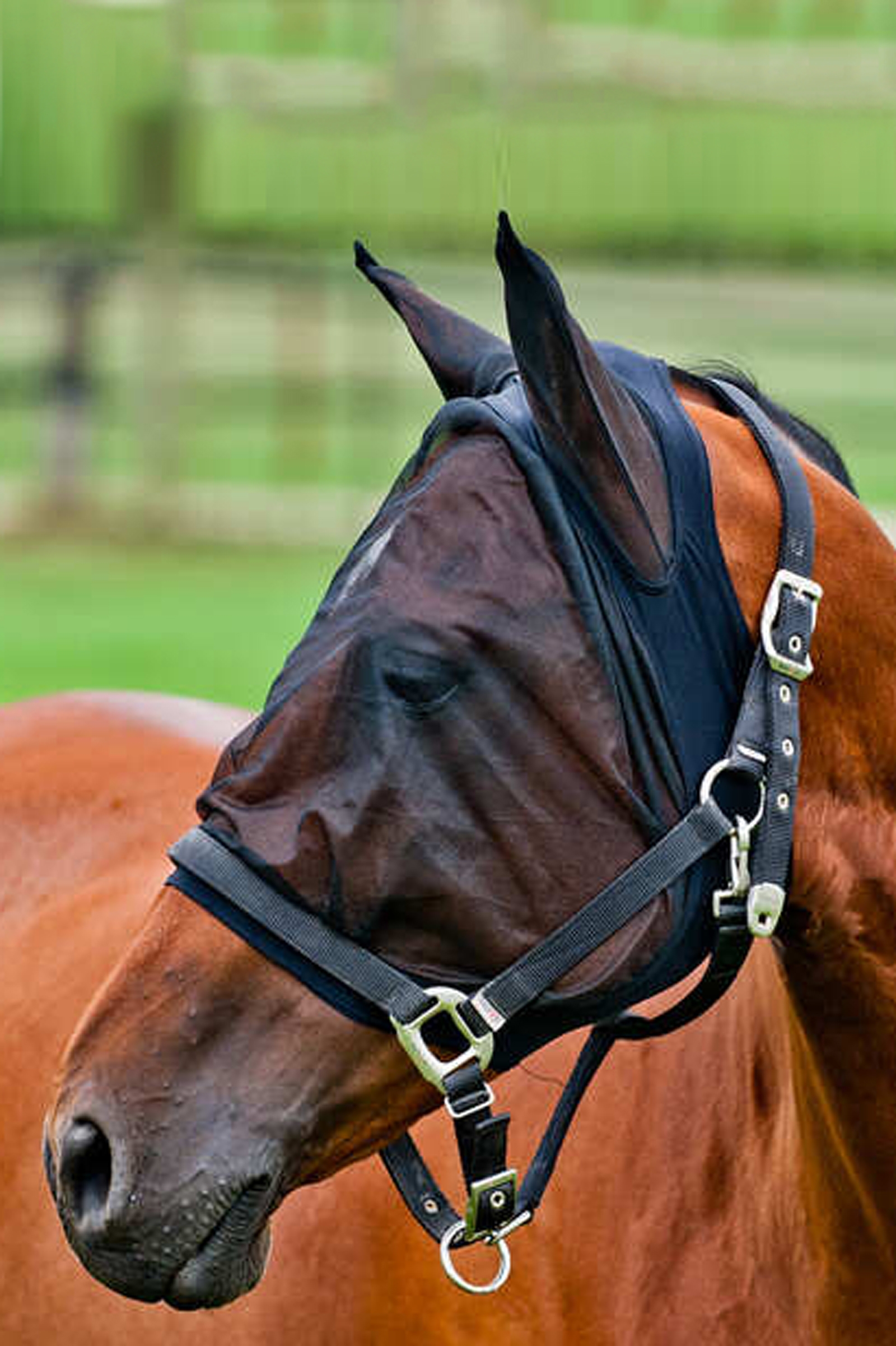 Horze Maschera Anti-mosche in rete