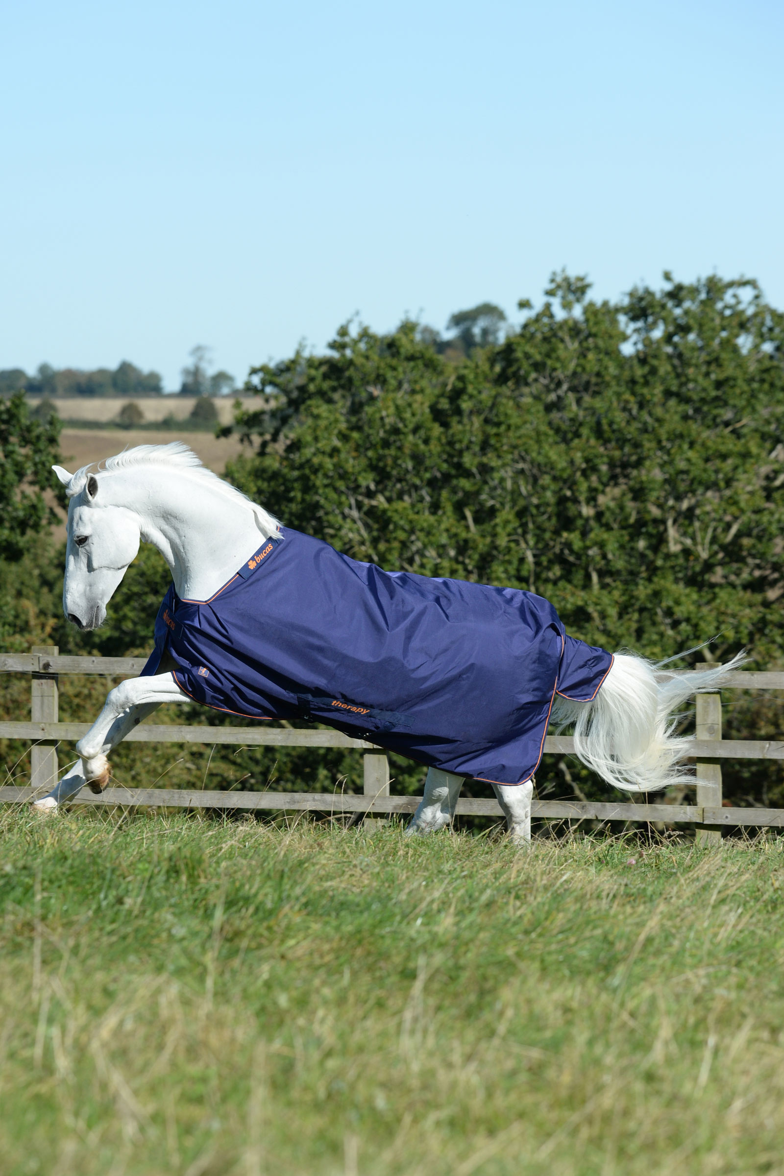 Bucas Therapy coperta da turnout leggera, 50g