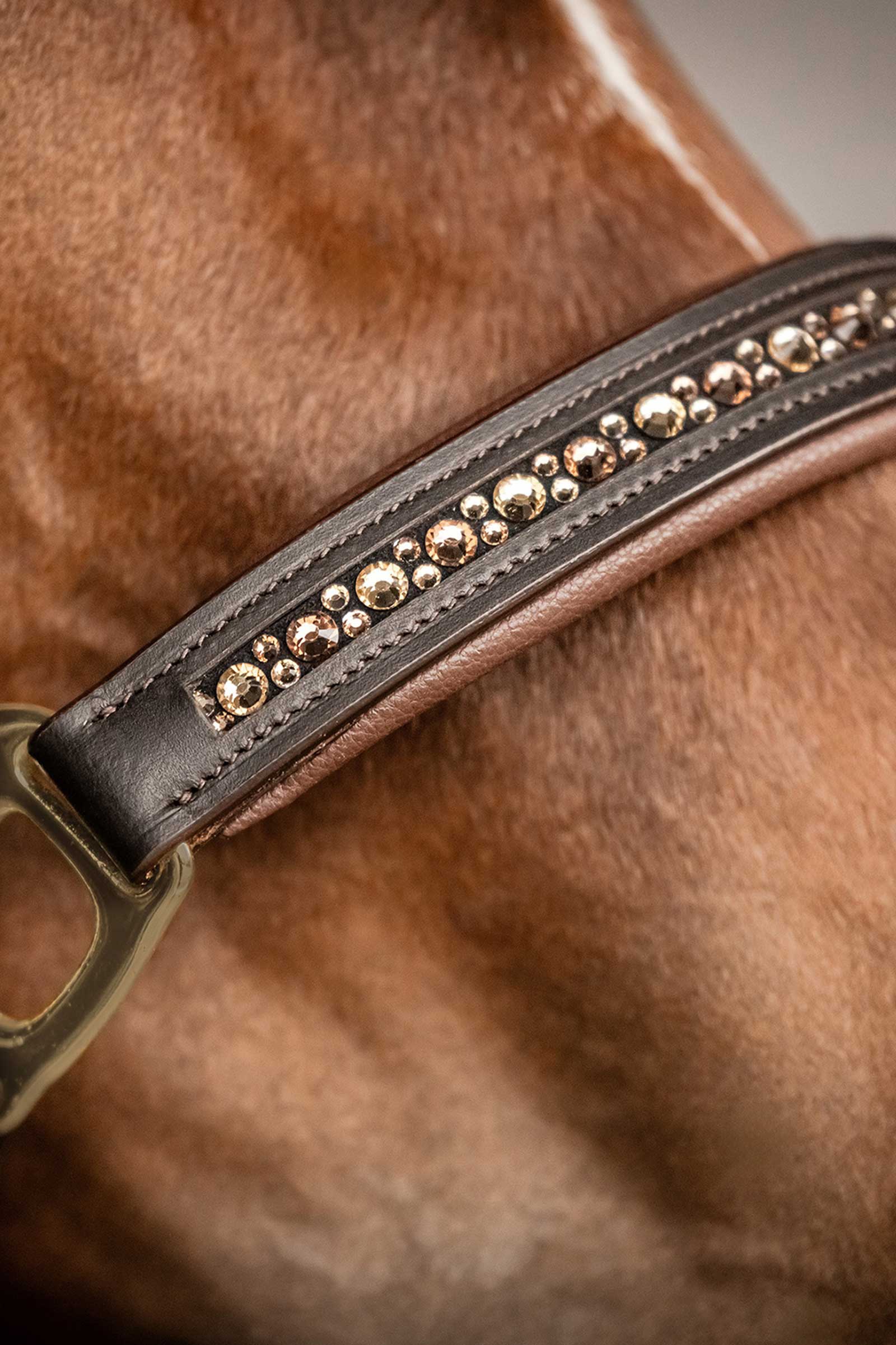 Waldhausen X-Line Crystal Cavezza in pelle