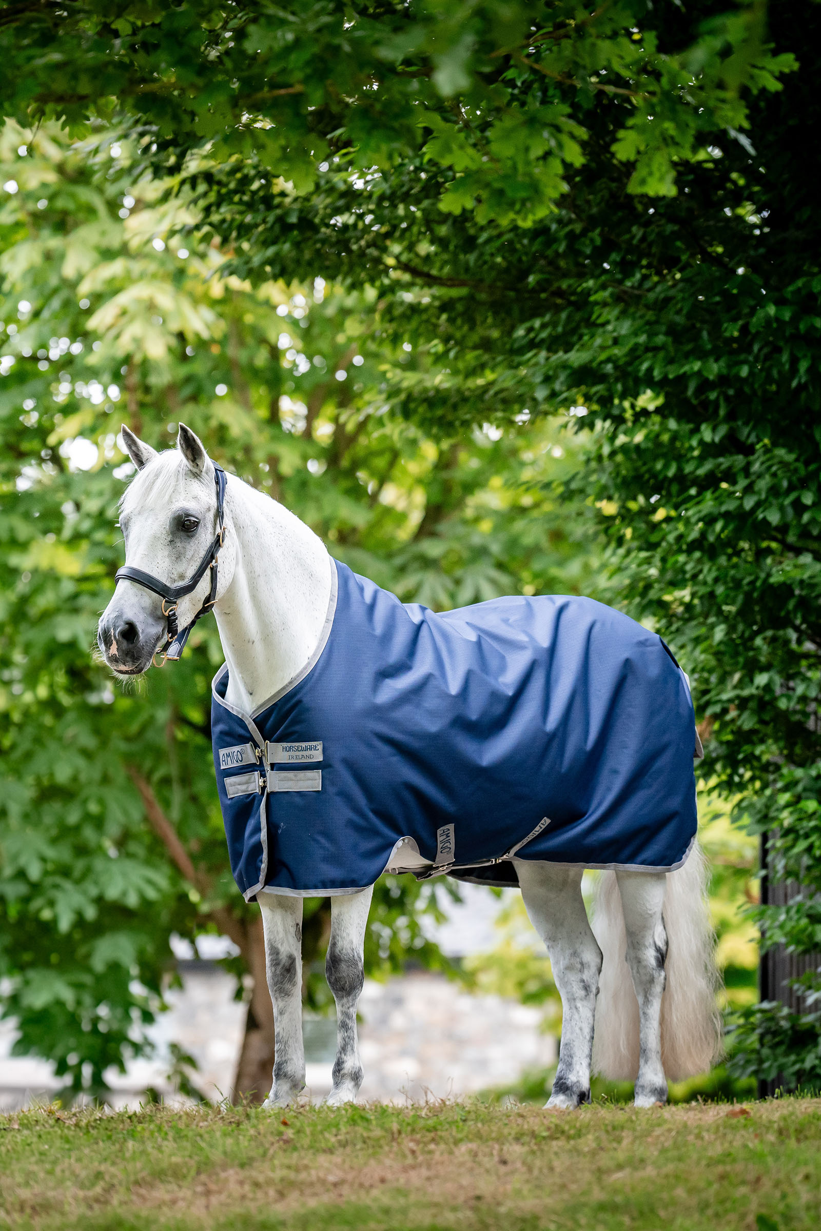 Horseware Amigo Coperta da turnout leggera Ripstop 900D, 0g