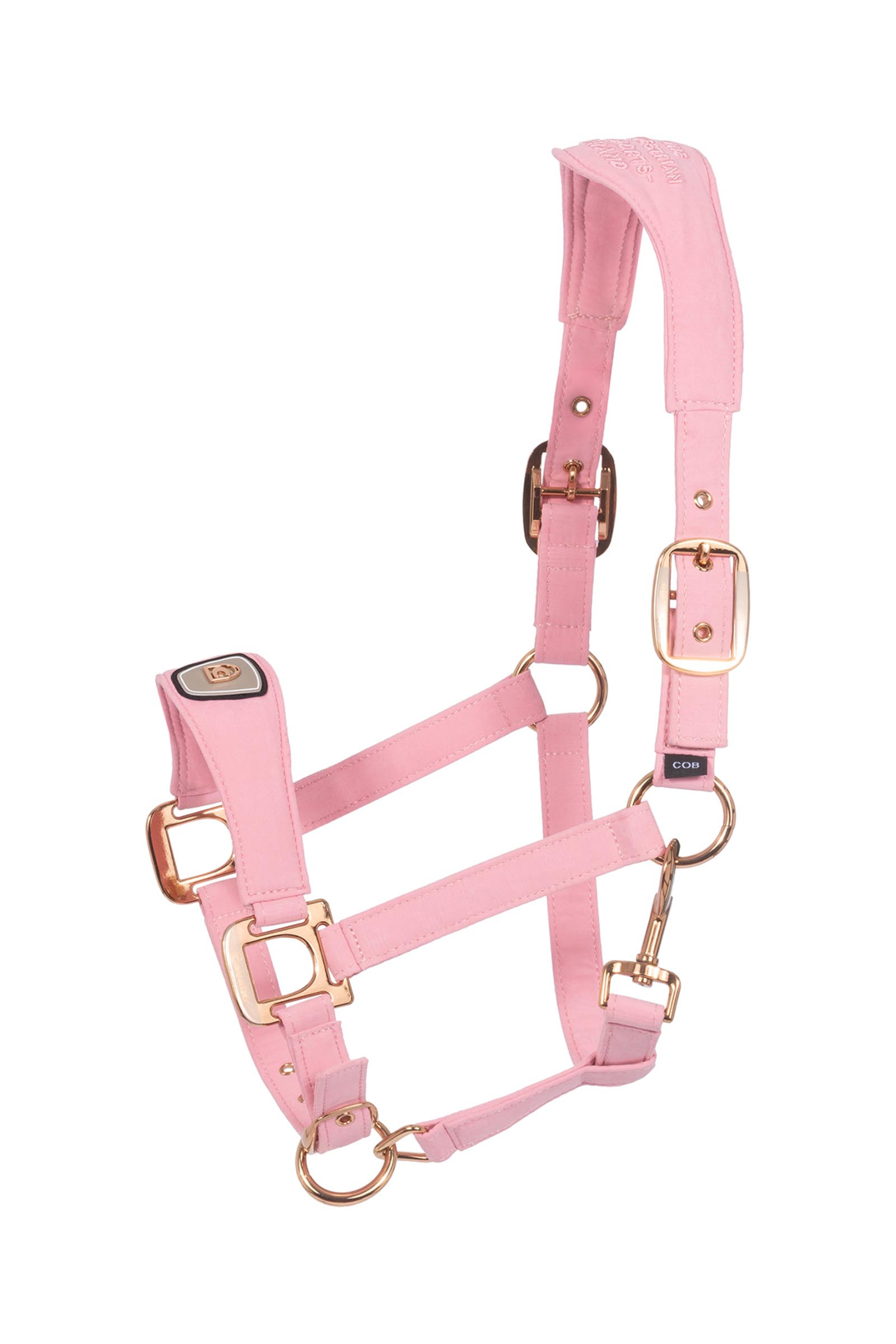 Powder Pink Cavallo CAVALPAWEL cavezza