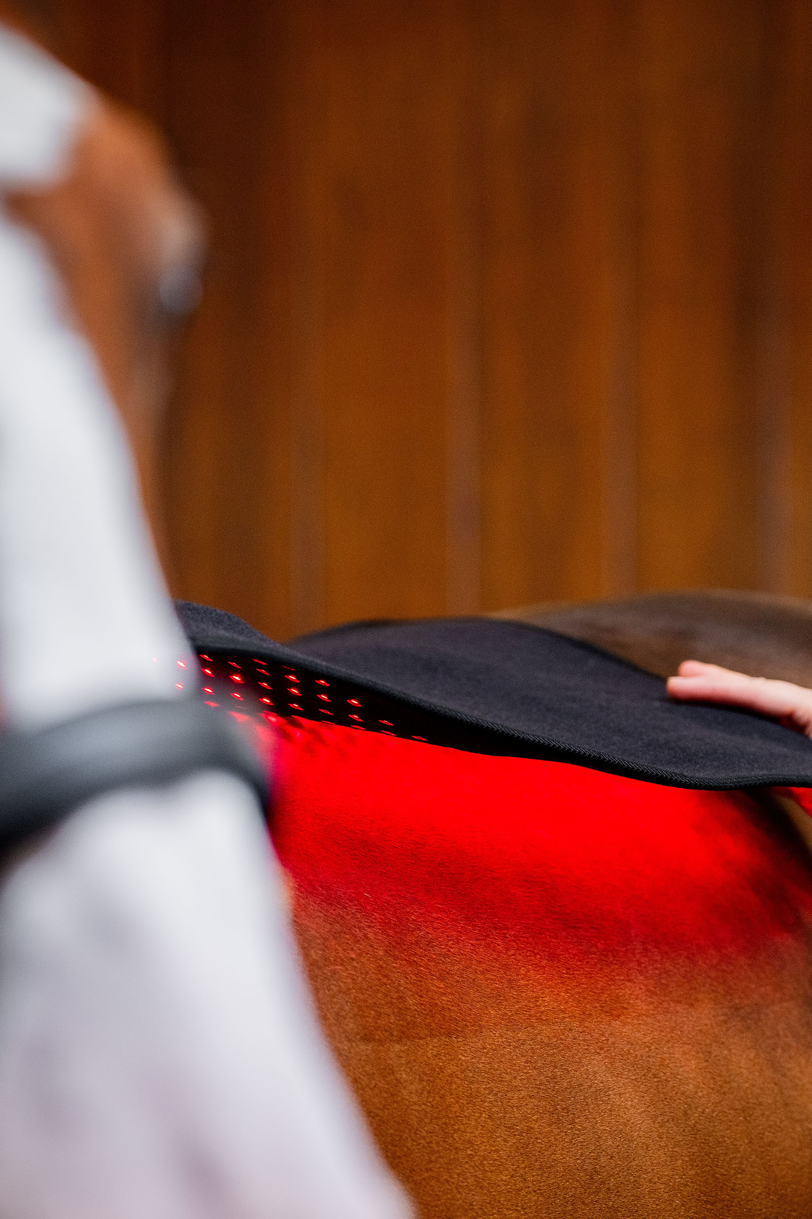 Horseware Pad terapeutico a LED con luce rossa
