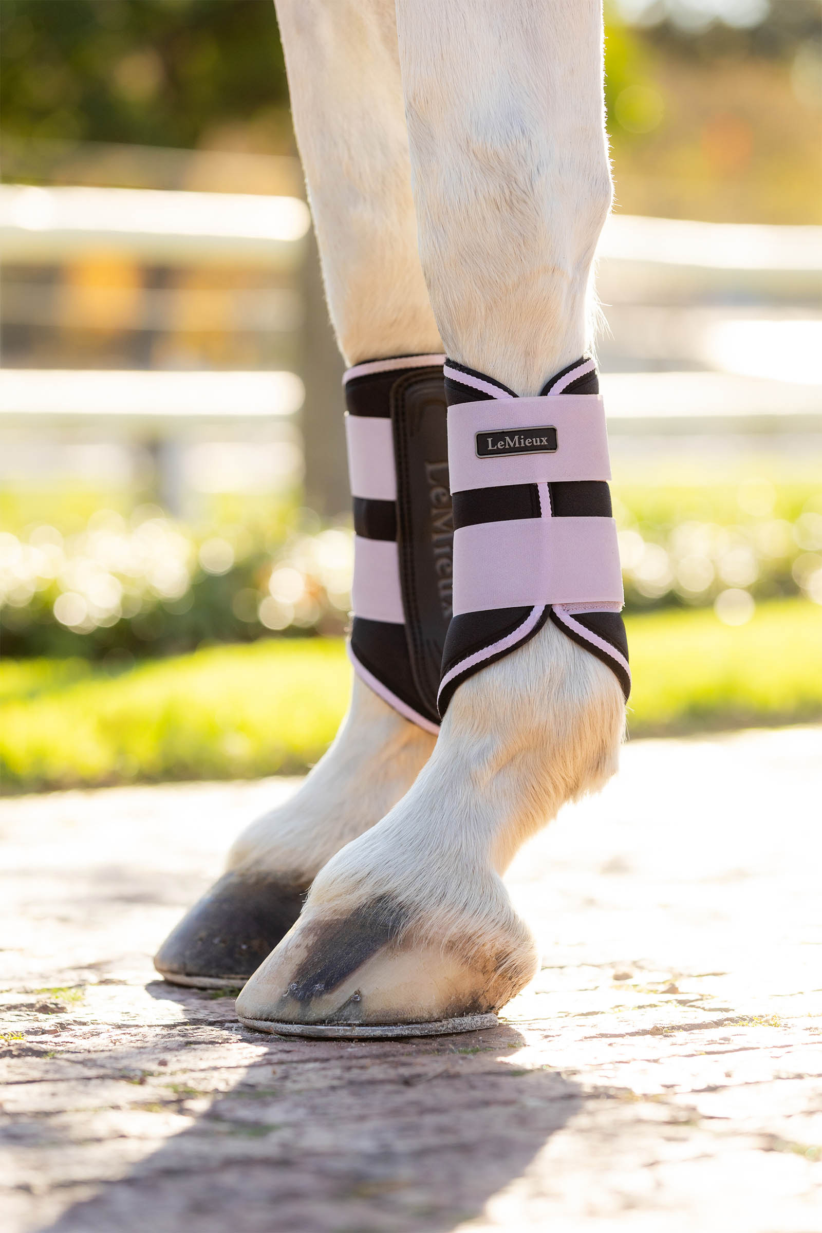 LeMieux Grafter stinchiere dressage