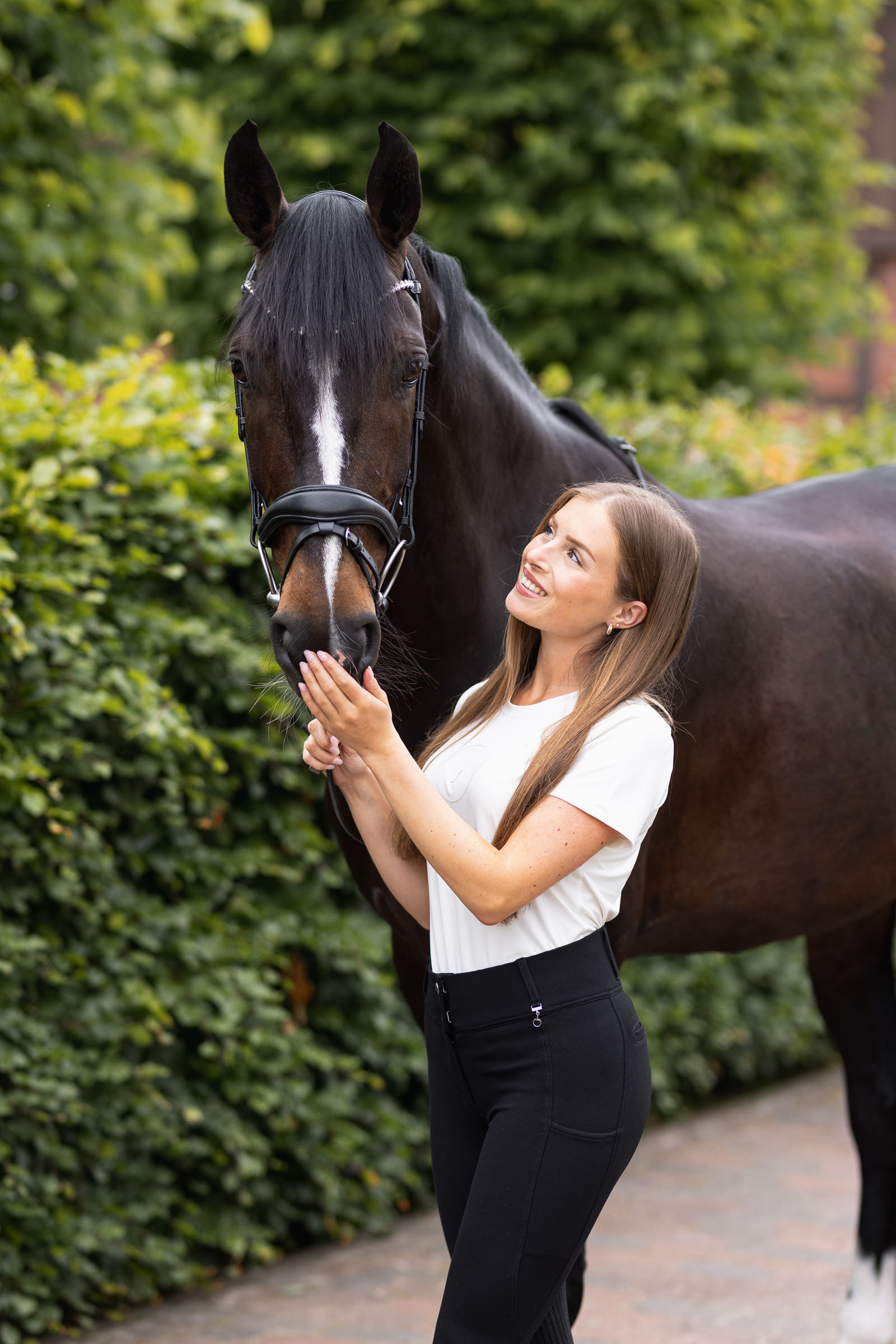 Briglia anatomica Horze Somerset