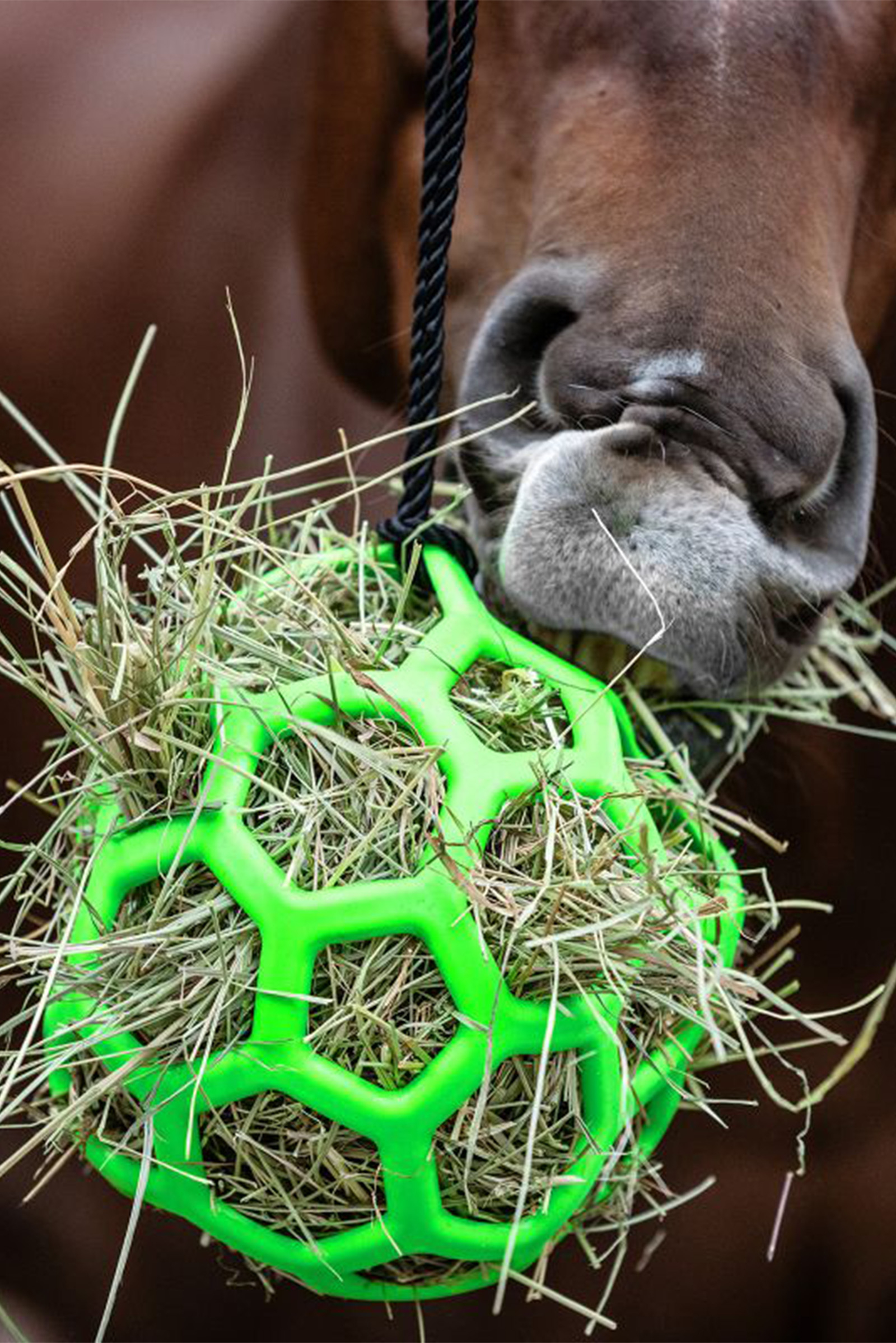 green Palla di fieno Waldhausen