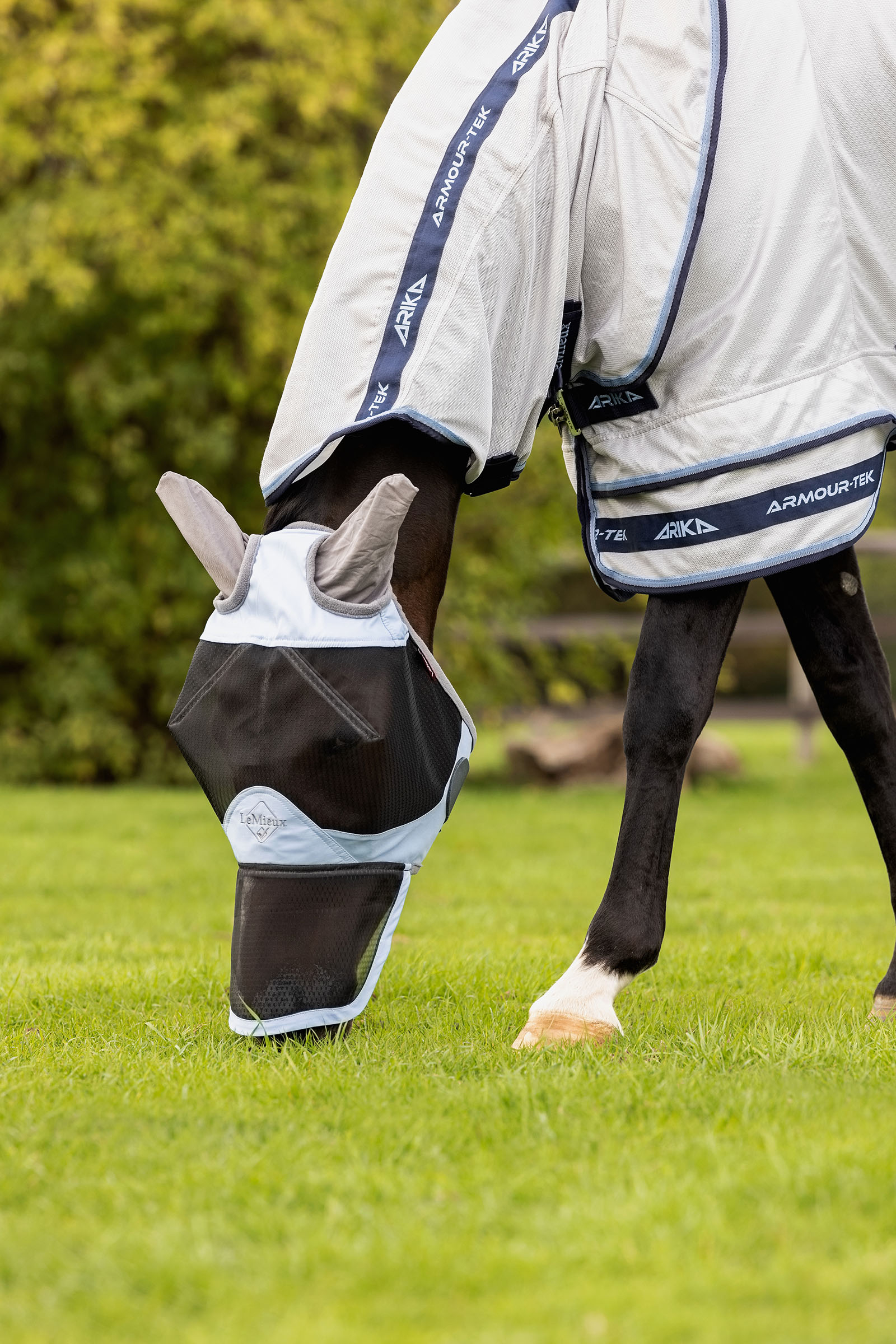 LeMieux Kudos Gladiator coperta antimosche