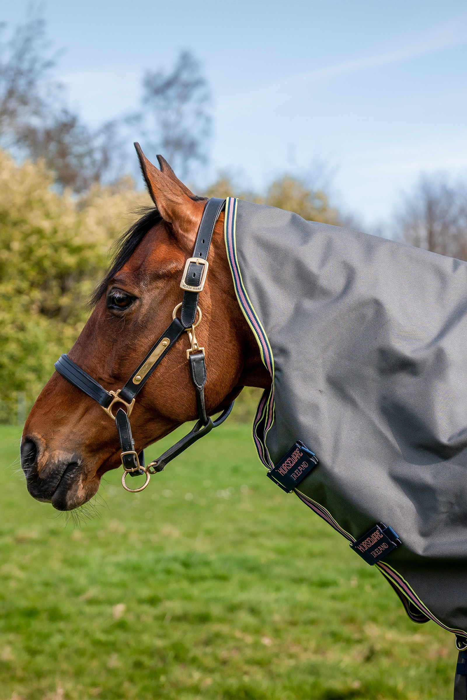 Horseware Amigo Bravo 12 Plus coperta da turnout con collo staccabile, 0g