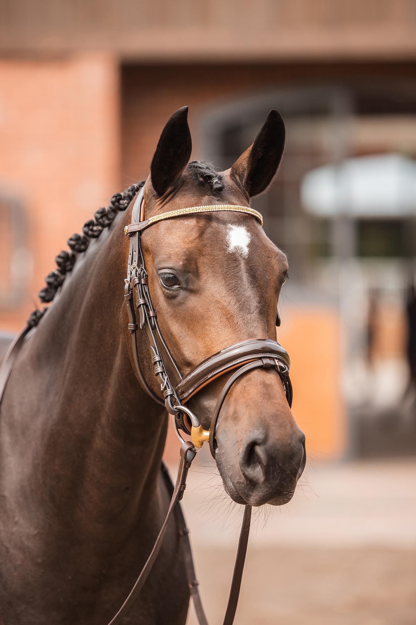 Horze Nancy Frontalino con cristalli e filo metallizzato