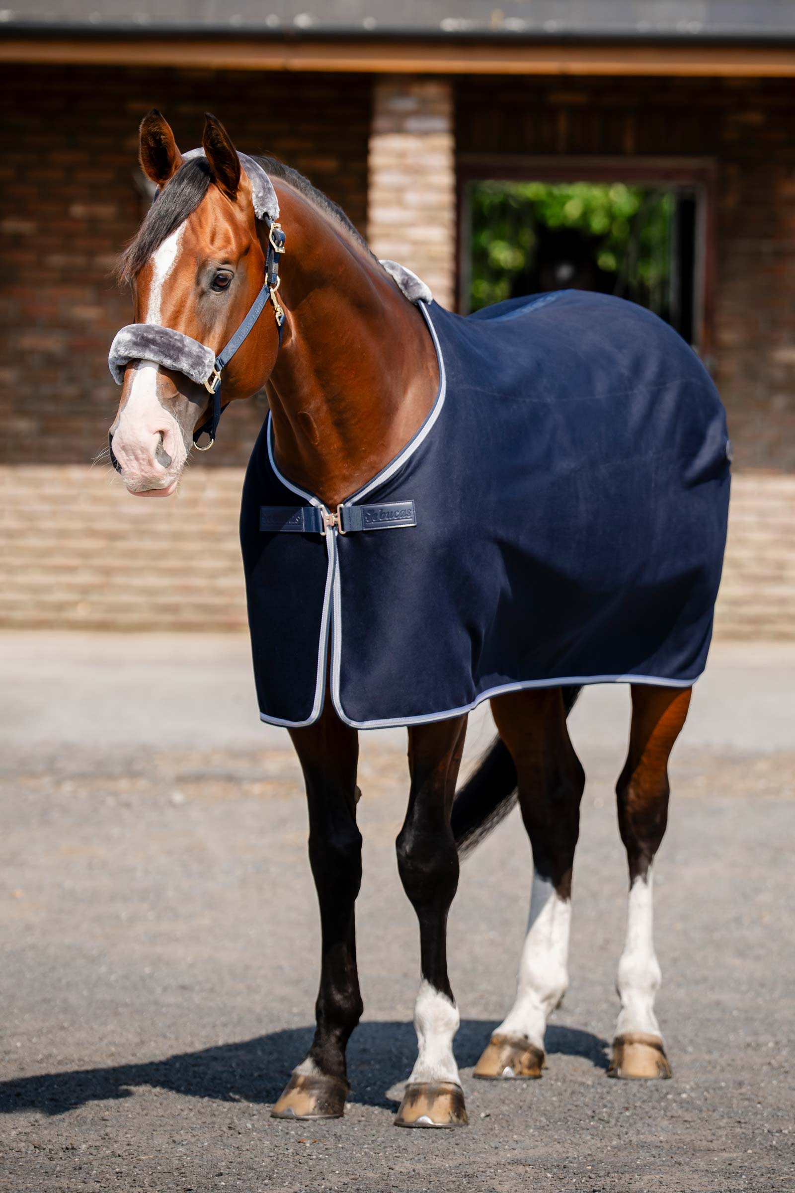 Bucas Emerald Wool Rug