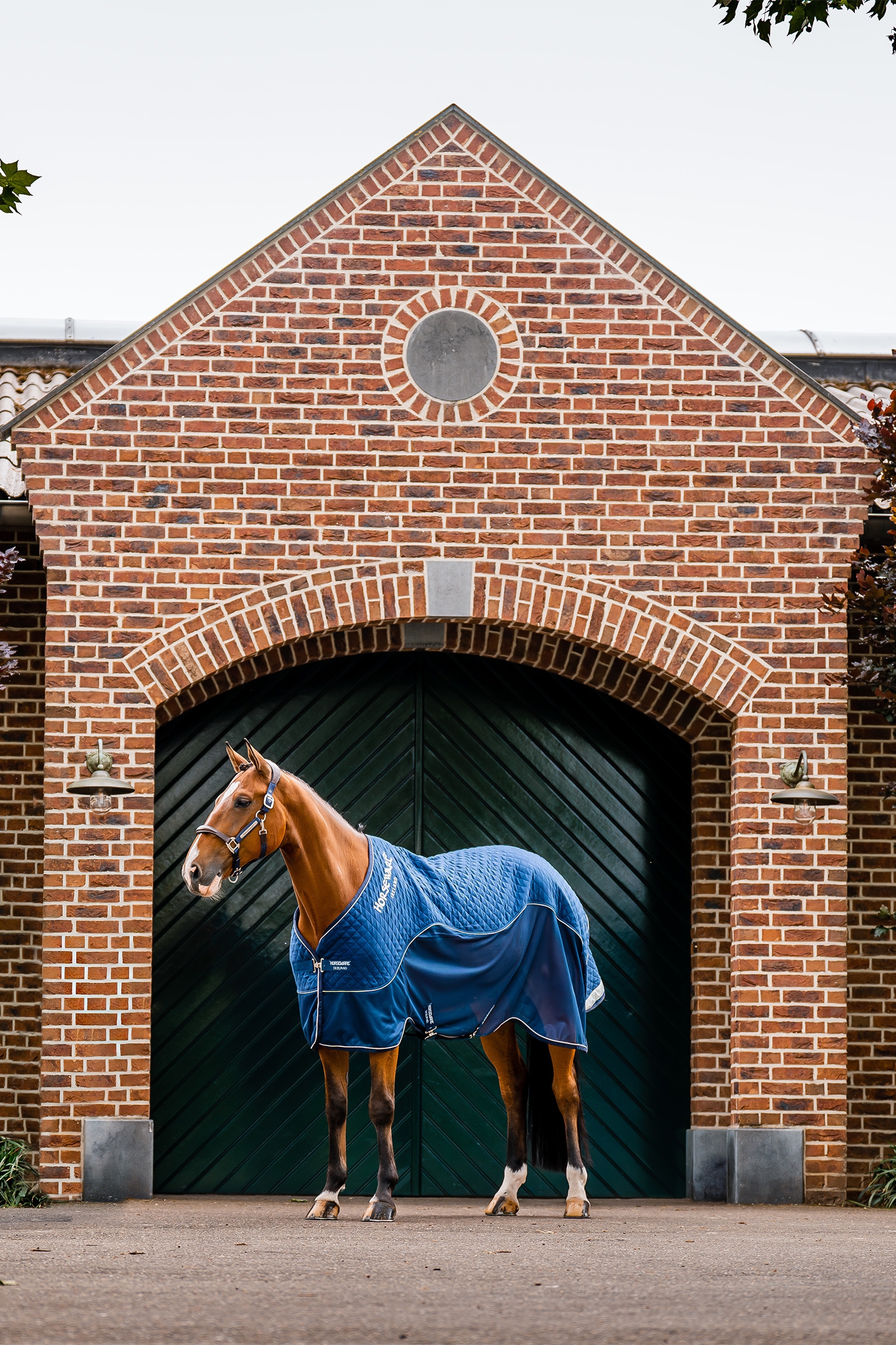 Horseware Signature Coperta da trasporto, 50g