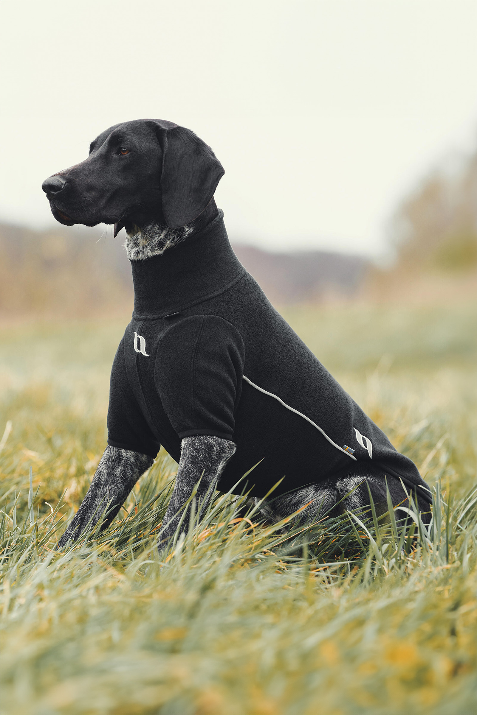 Back on Track, Maglioncino per cane per tutte le stagioni Cassie, 25-30 cm