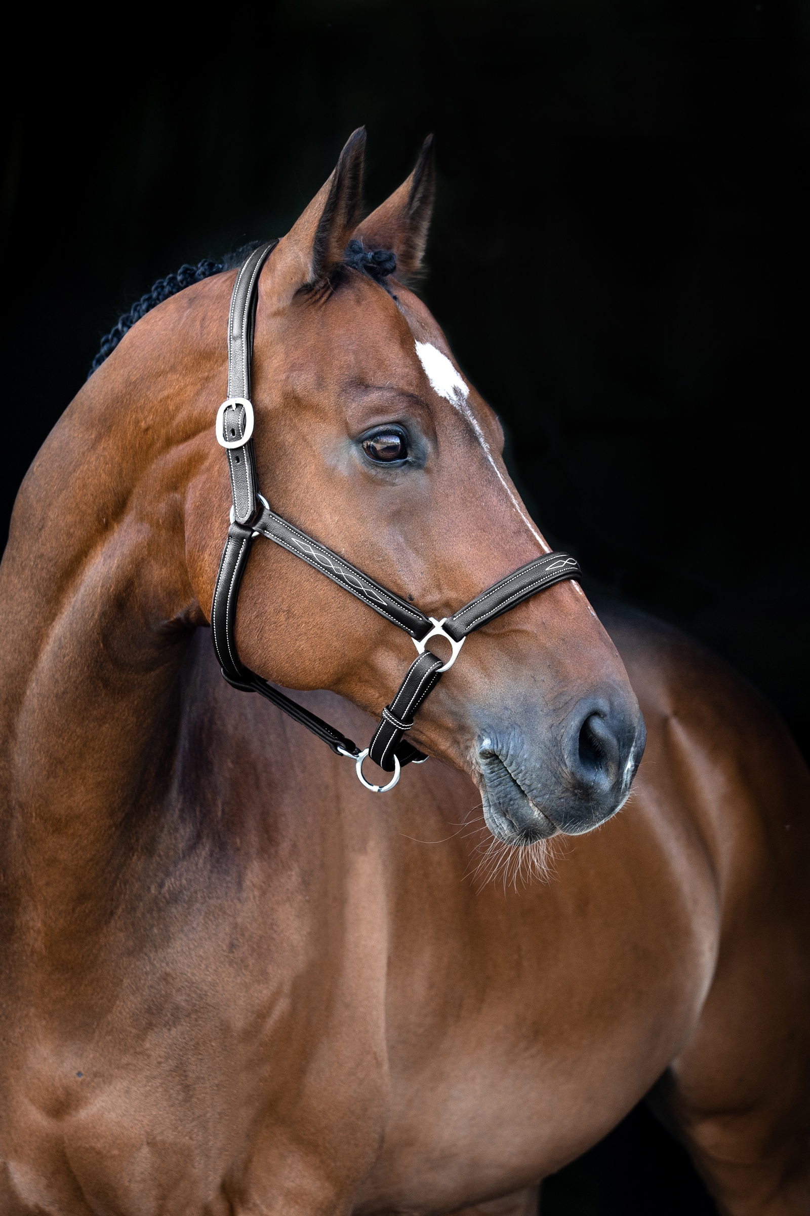 Horze Warren Capezza in morbida pelle