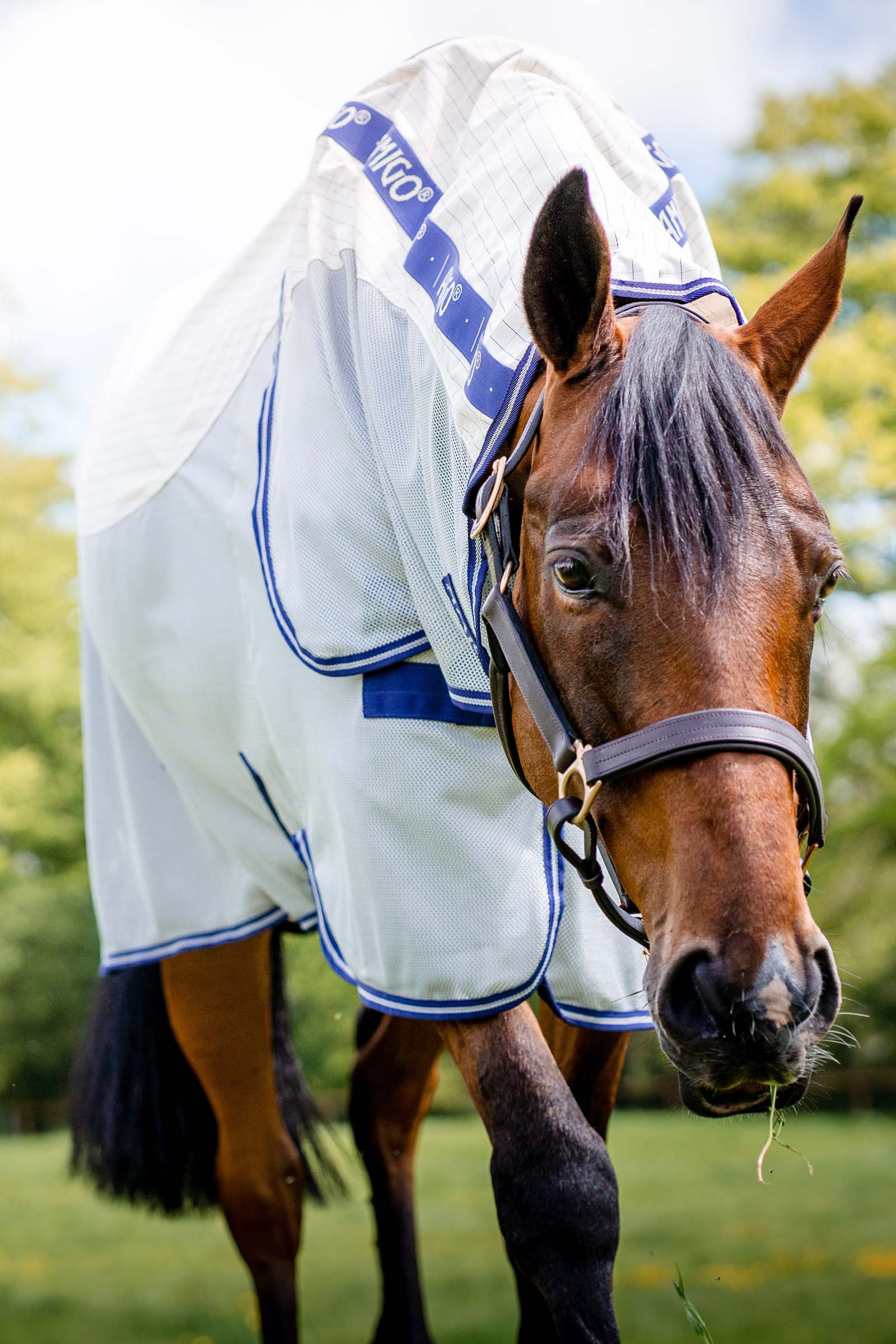 Horseware Amigo Airflow coperta anti-mosche con parte collo staccabile