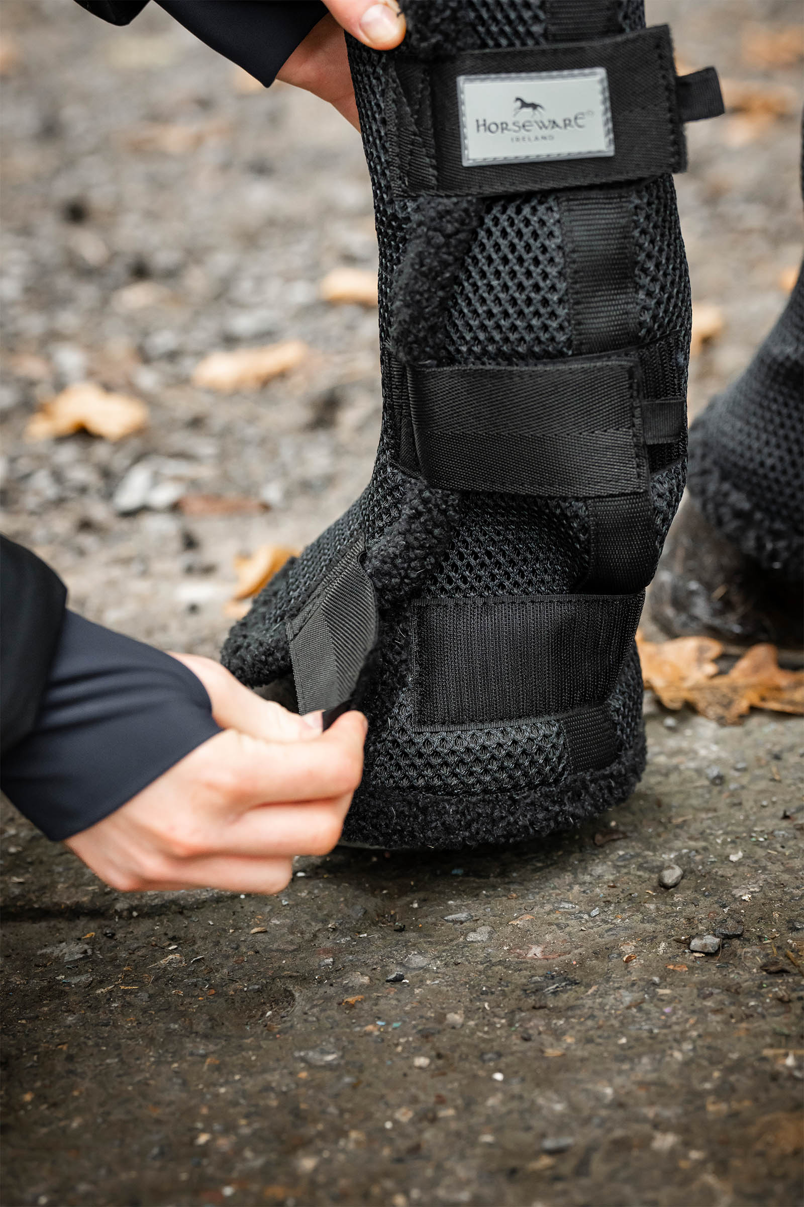 Horseware Show Ready fasce