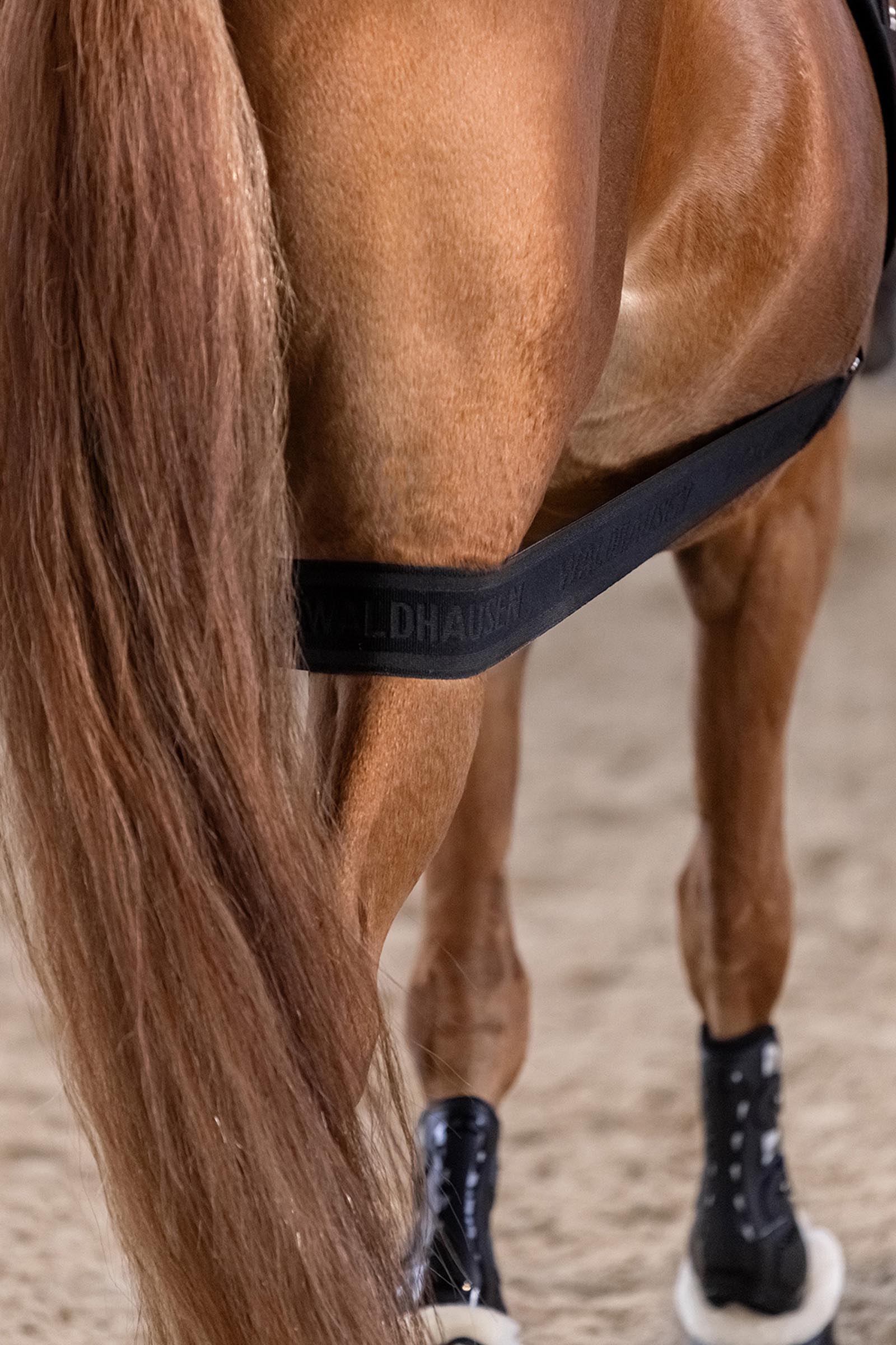 Waldhausen fascia body per attivazione del posteriore