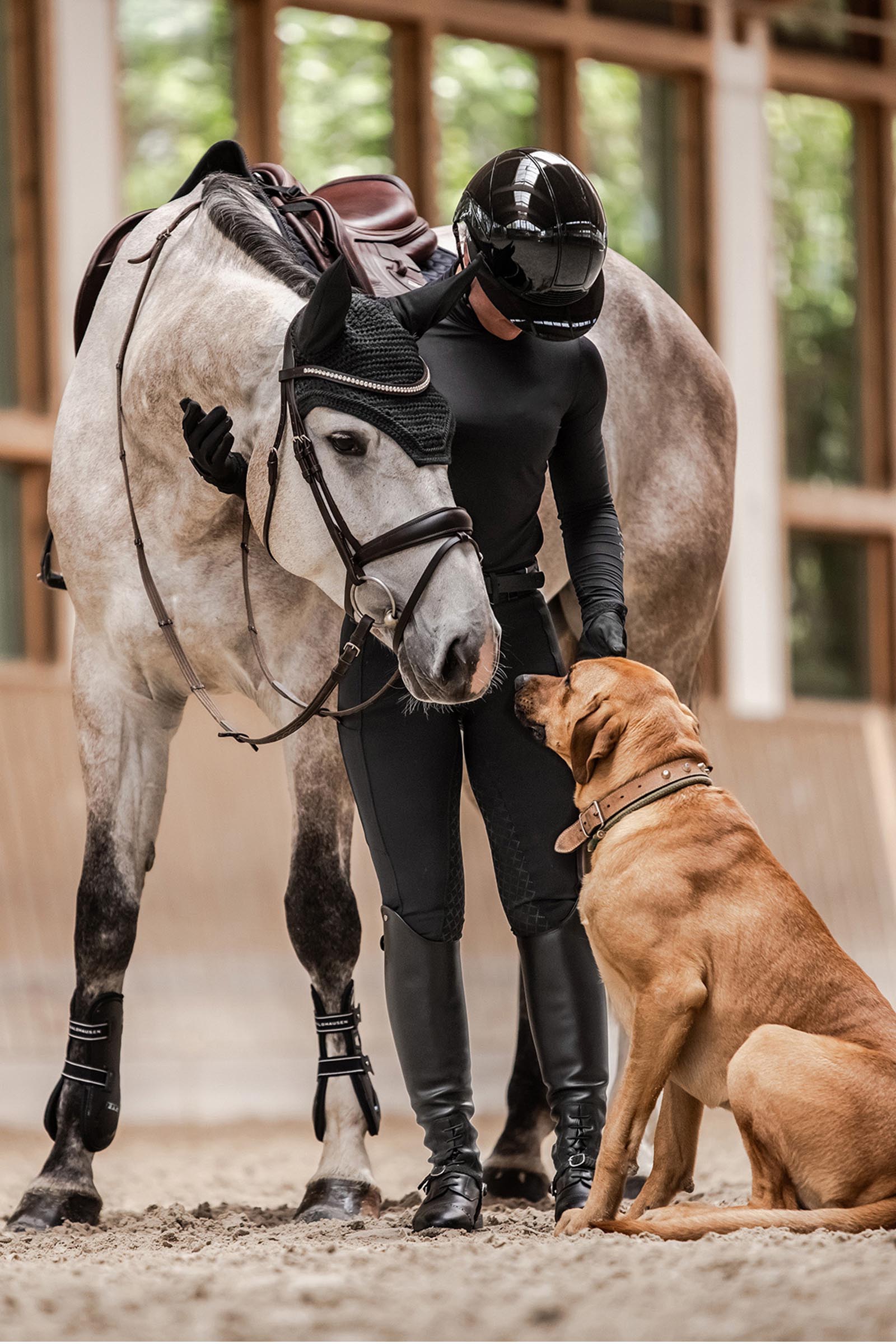 SWING H24 Lady Glossy casco equitazione donna