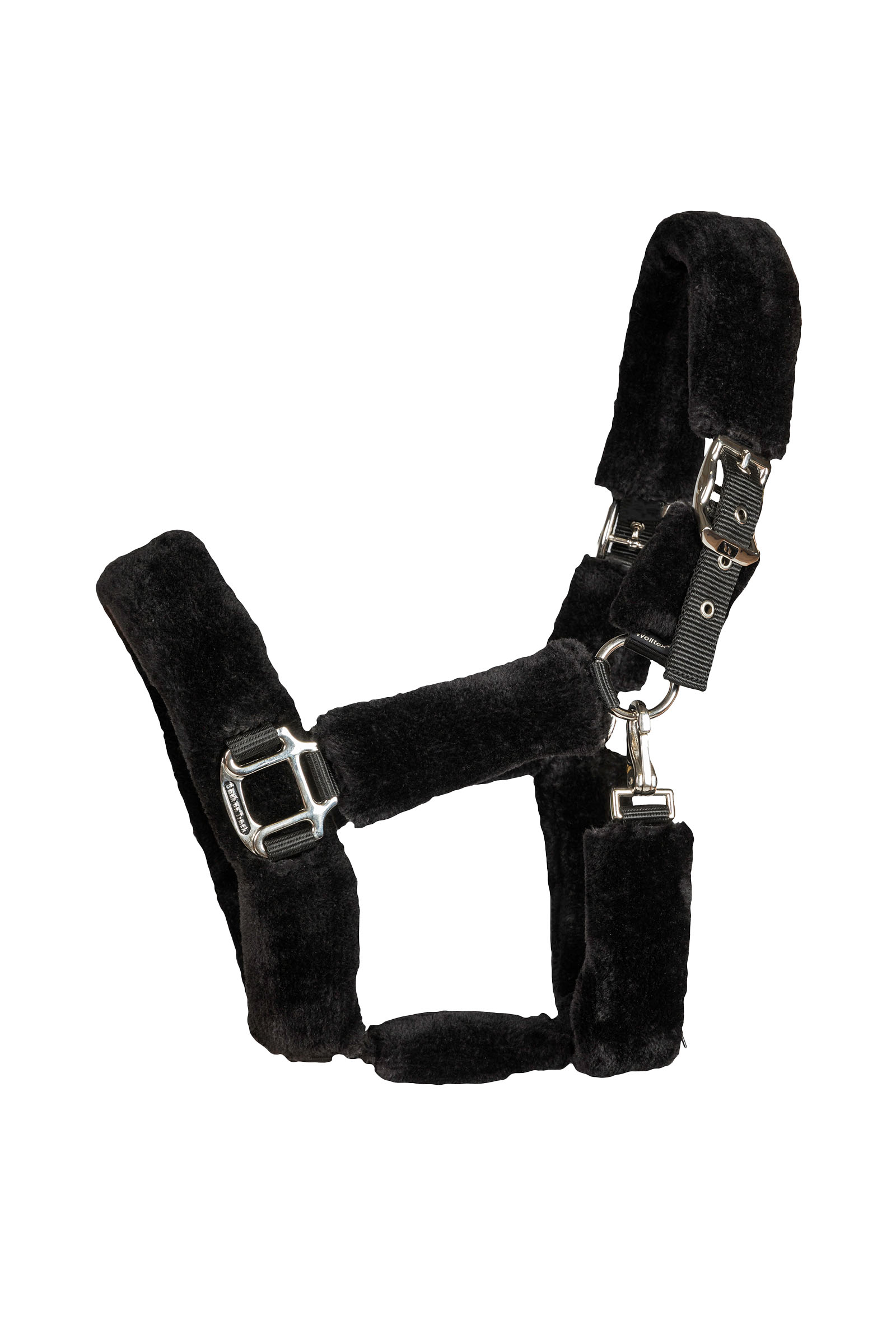 Back on Track Audrey cavezza