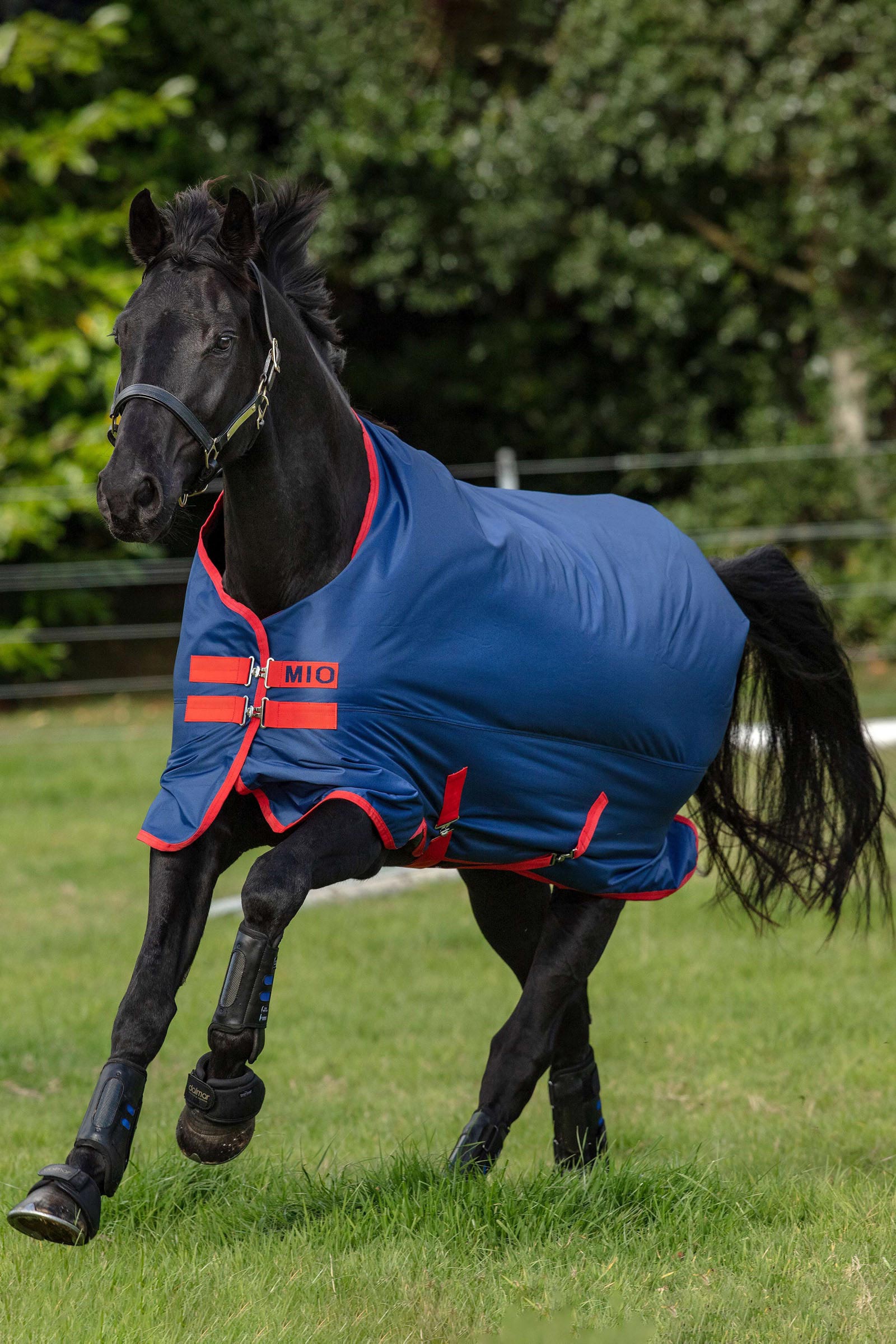 Horseware Mio coperta da turnout, 0g