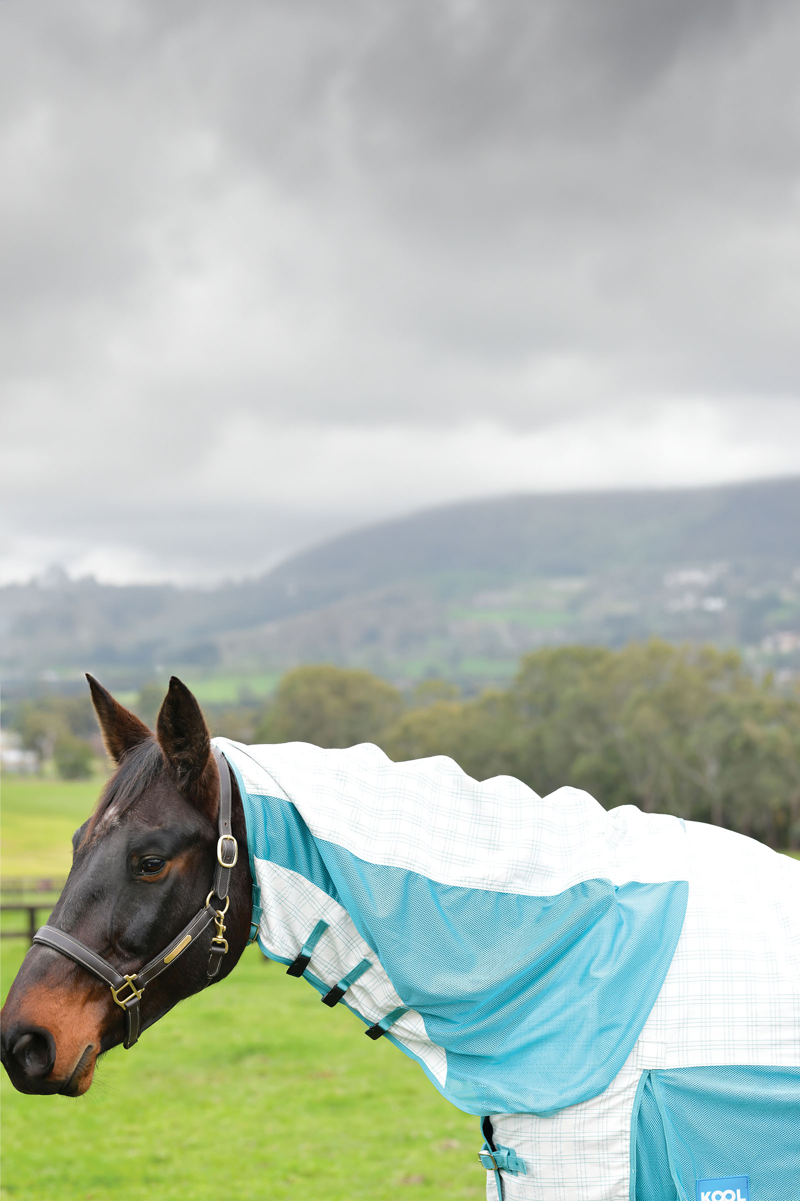 Weatherbeeta Kool Coat Cotone Airstream Ii Detach-A-Neck