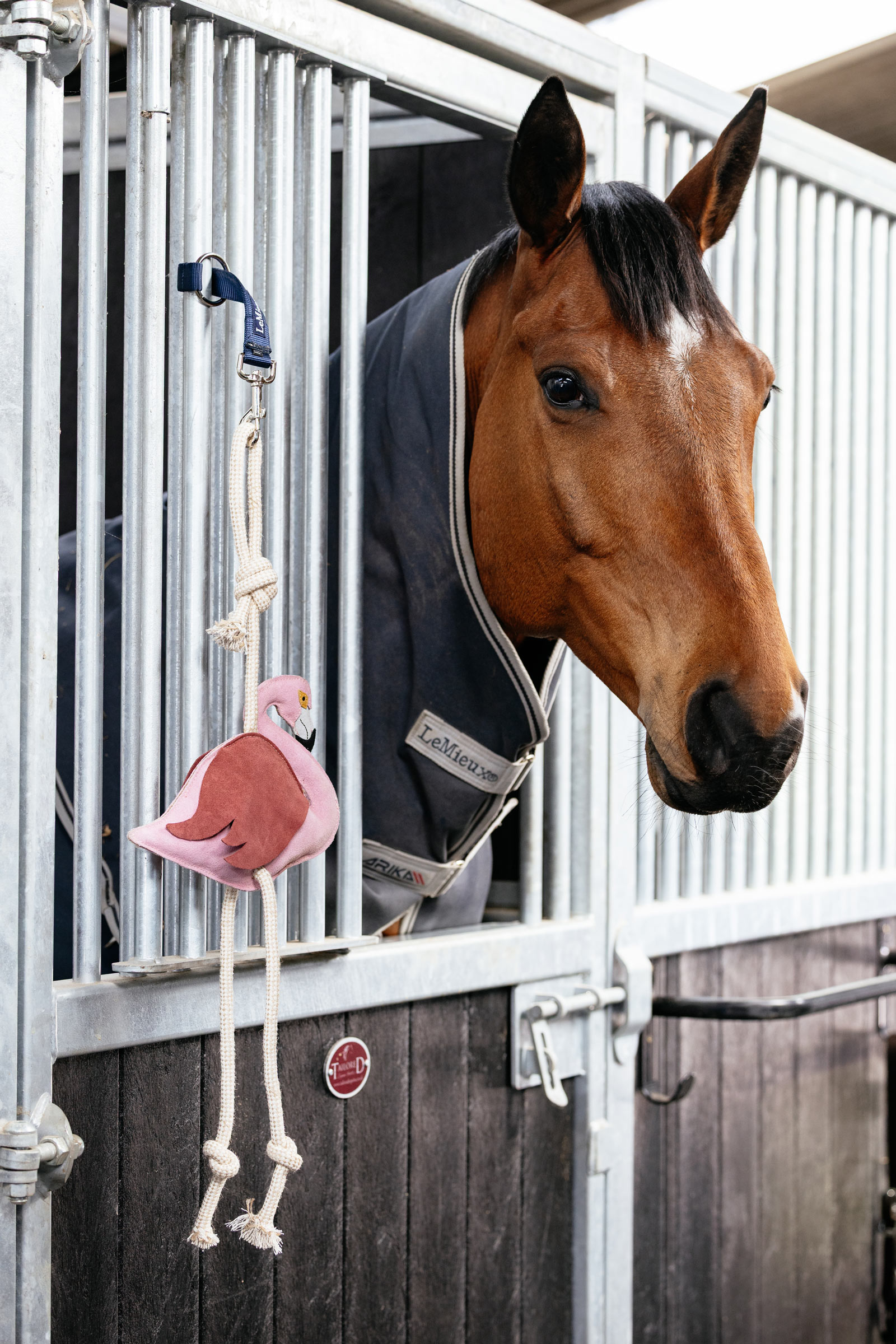 LeMieux gioco per cavalli fenicottero