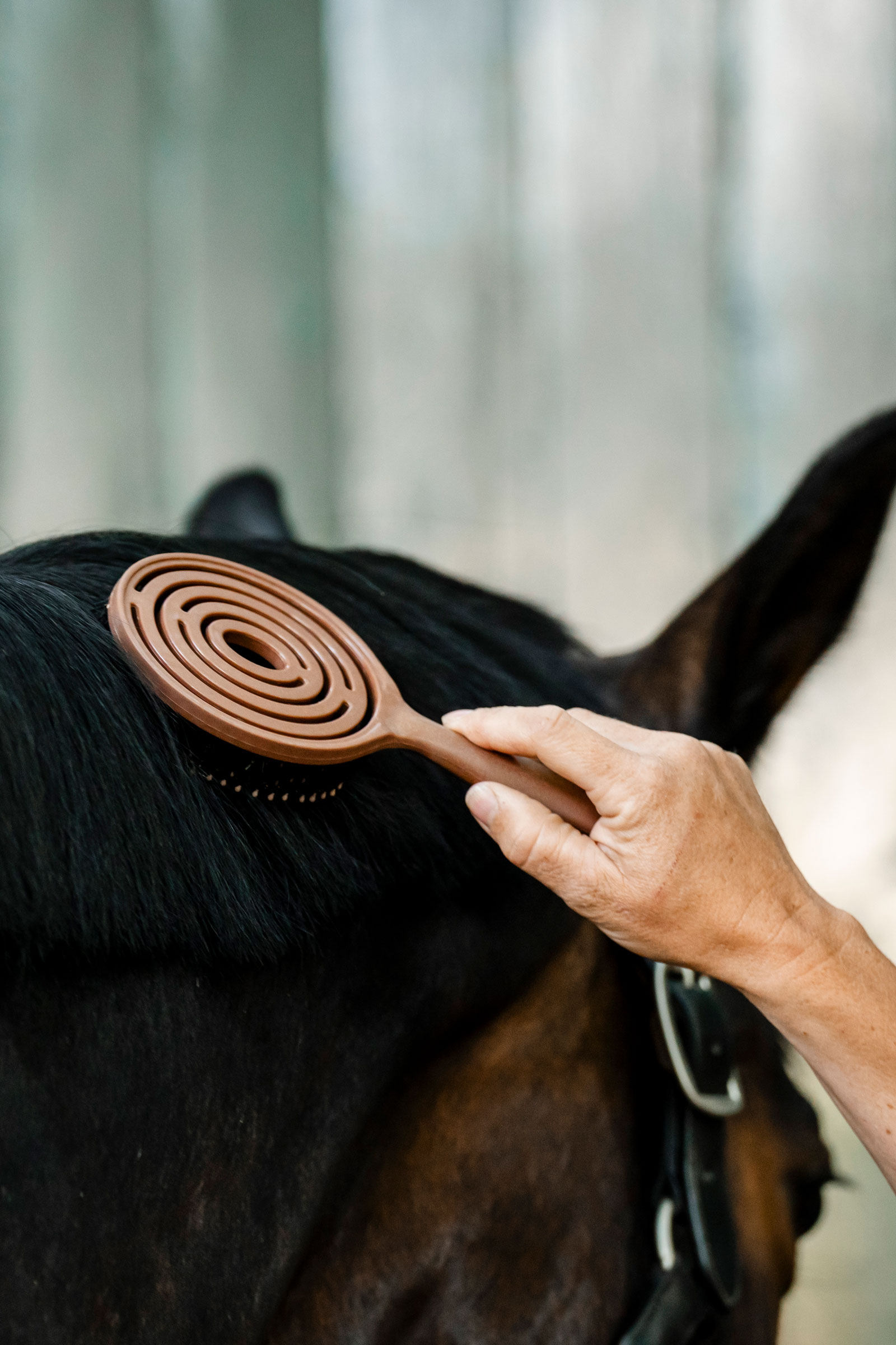 Horseware spazzola per criniera e coda
