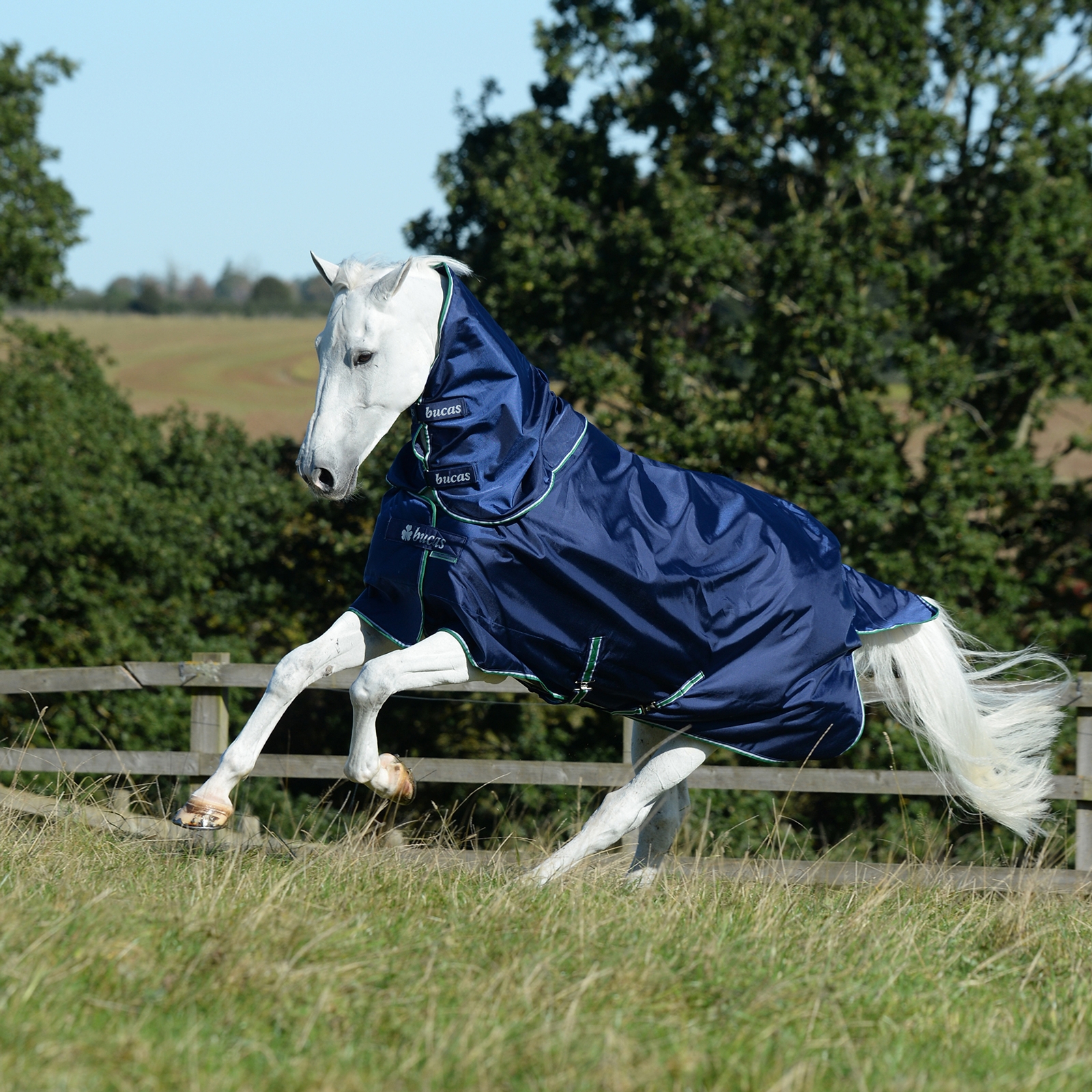 Blue Bucas Smartex Protezione combo per collo 300