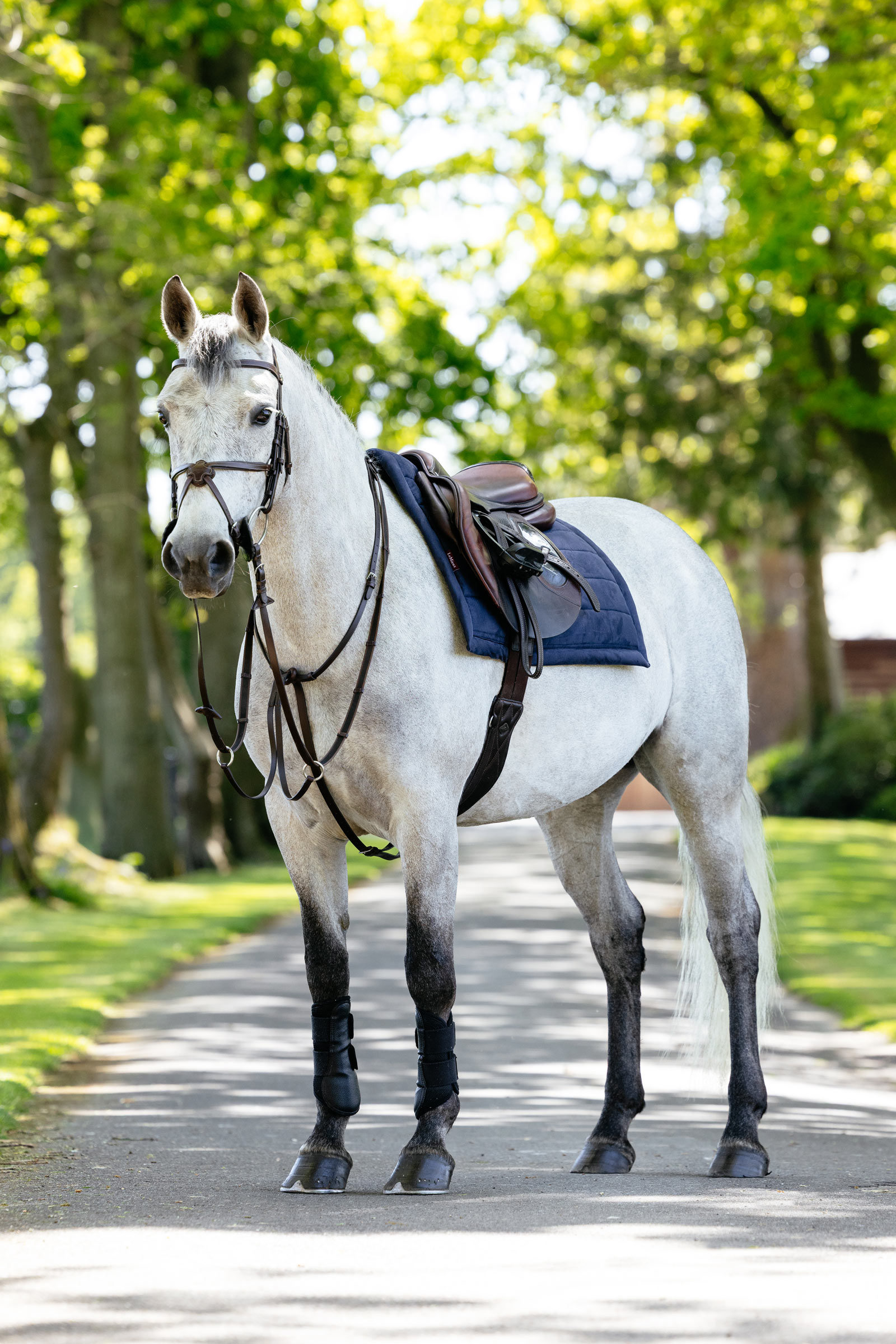 LeMieux Pillow sottosella multiuso imbottito